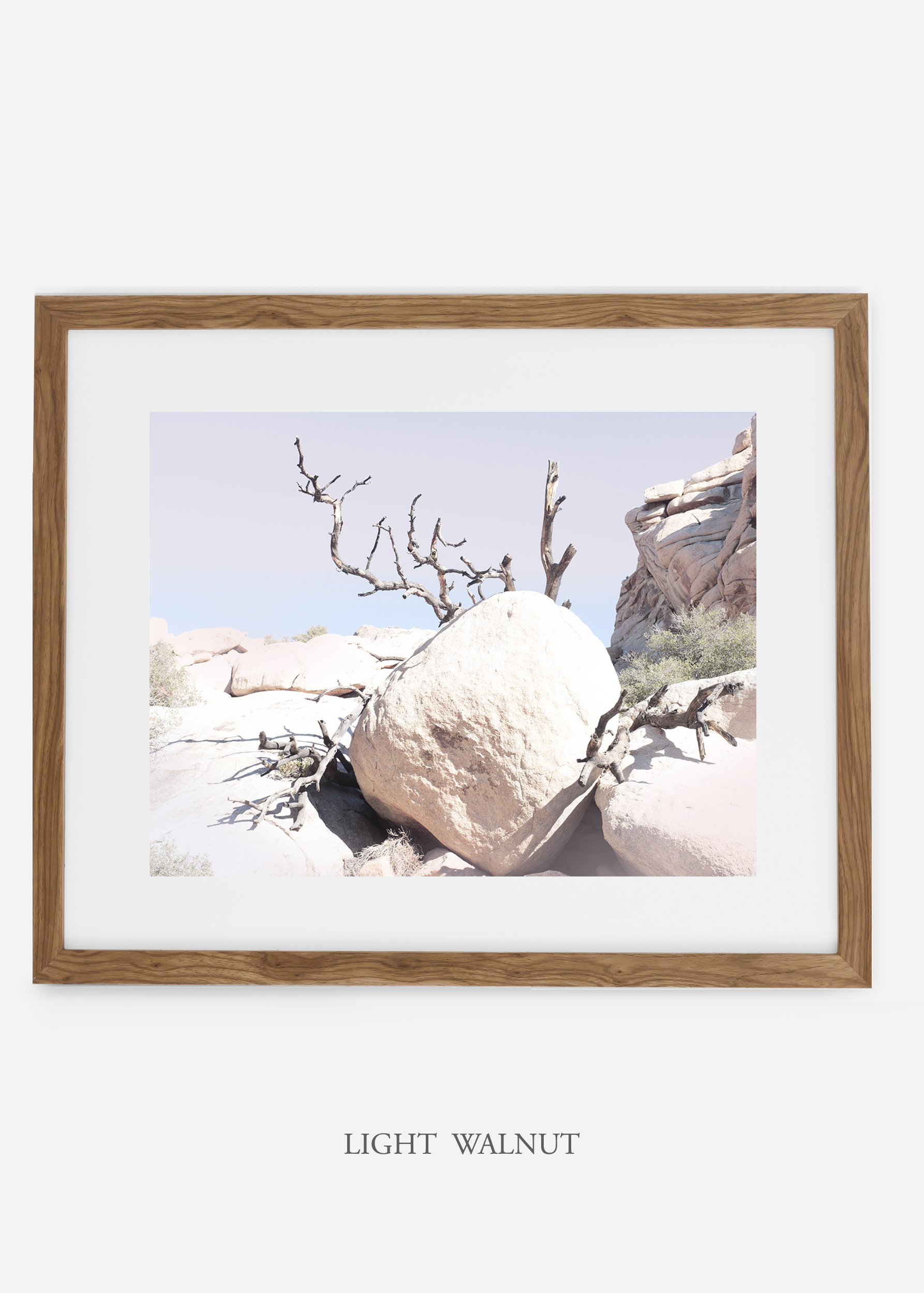 WilderCalifornia_lightwalnut_JoshuaTree_No.17_interiordesign_prints_art.jpg