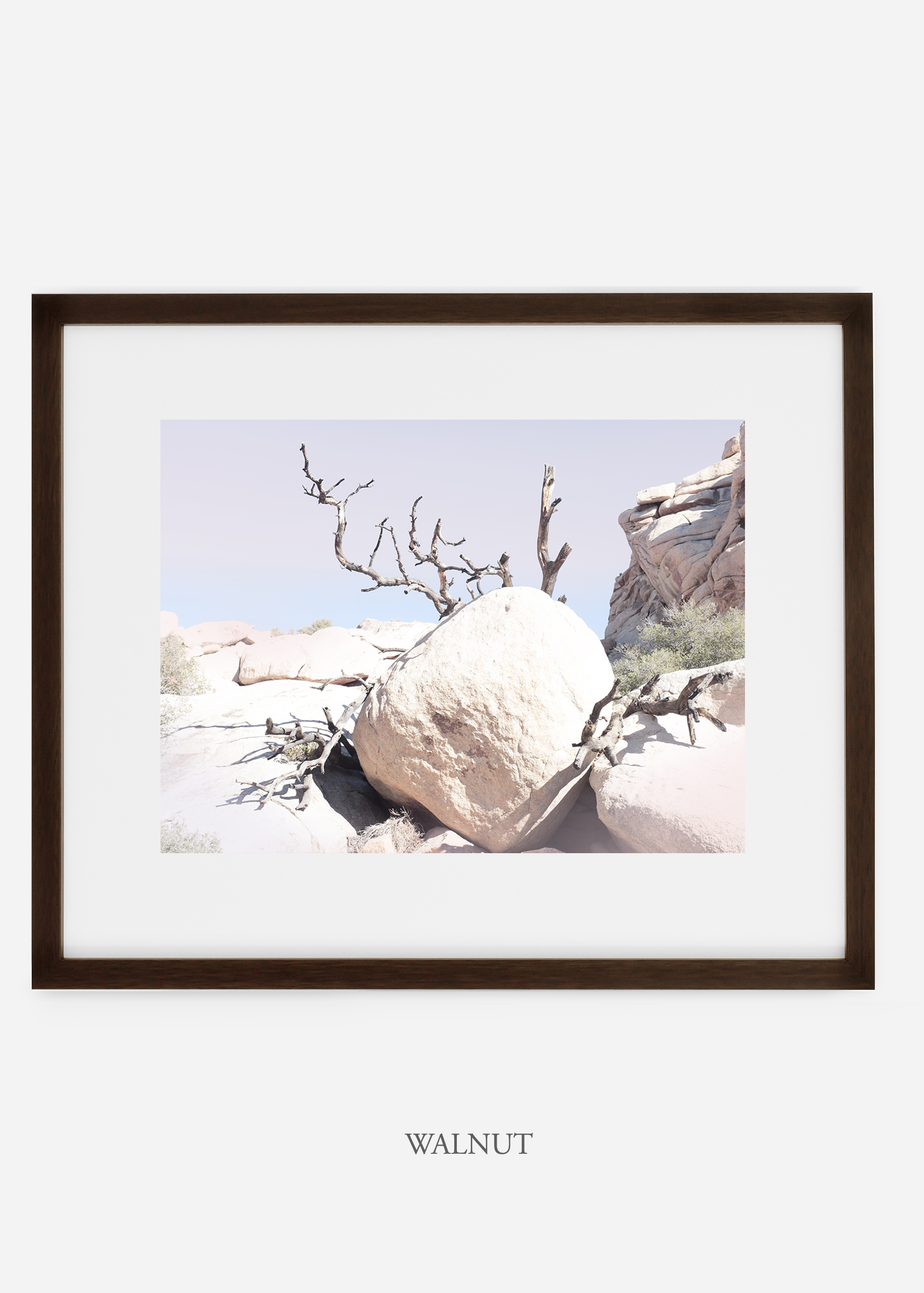 WilderCalifornia_walnut_JoshuaTree_No.17_interiordesign_prints_art.jpg