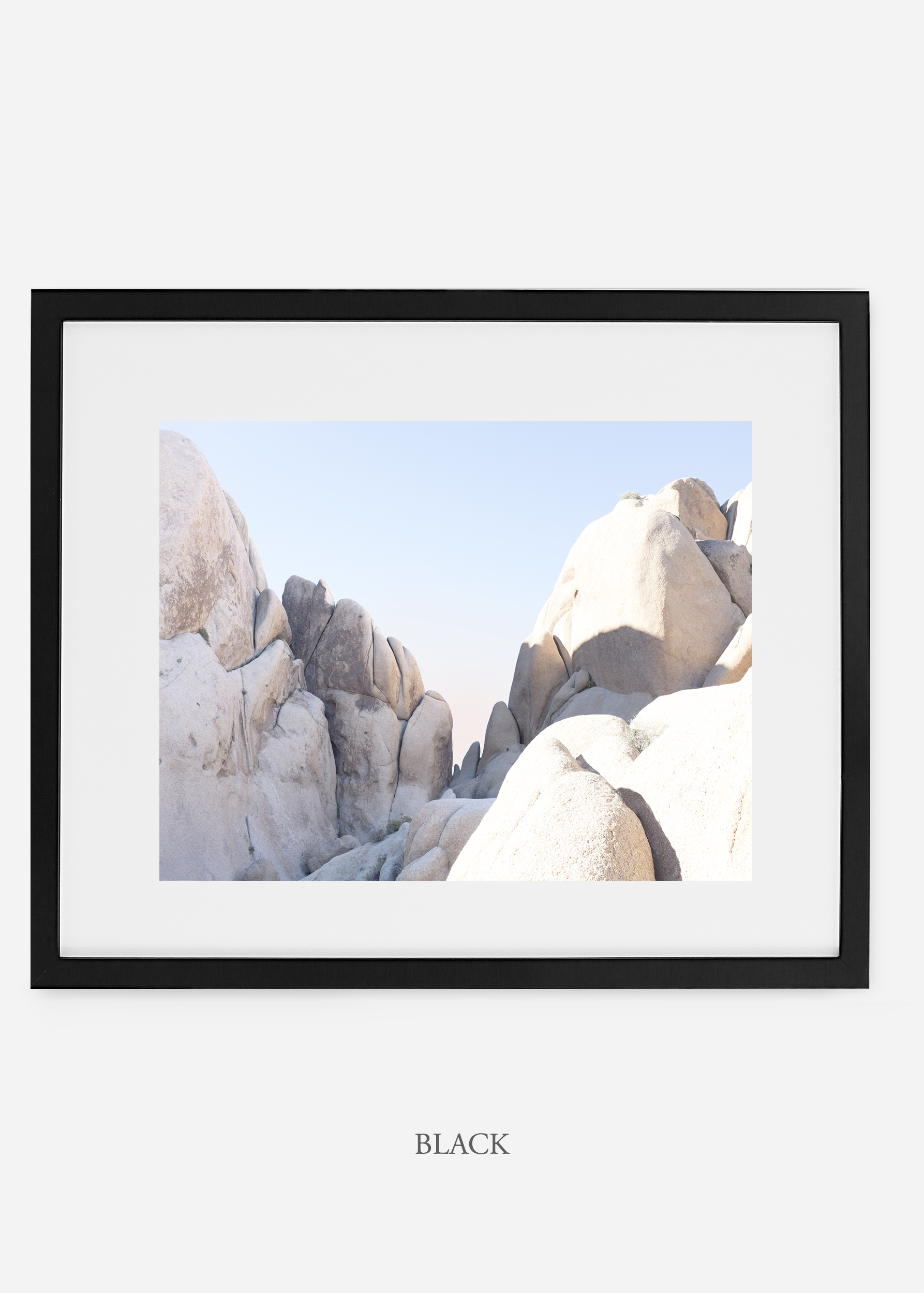 WilderCalifornia_black_JoshuaTree_No.18_interiordesign_prints_art.jpg