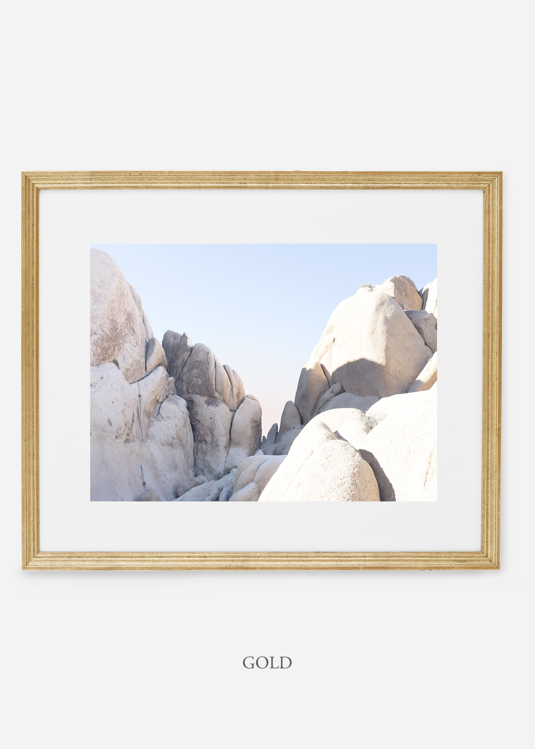 WilderCalifornia_gold_JoshuaTree_No.18_interiordesign_prints_art.jpg