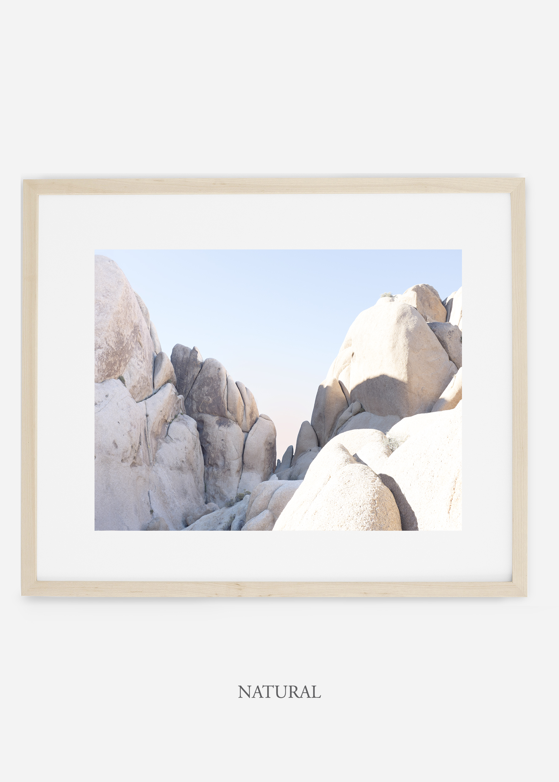 WilderCalifornia_natural_JoshuaTree_No.18_interiordesign_prints_art.jpg