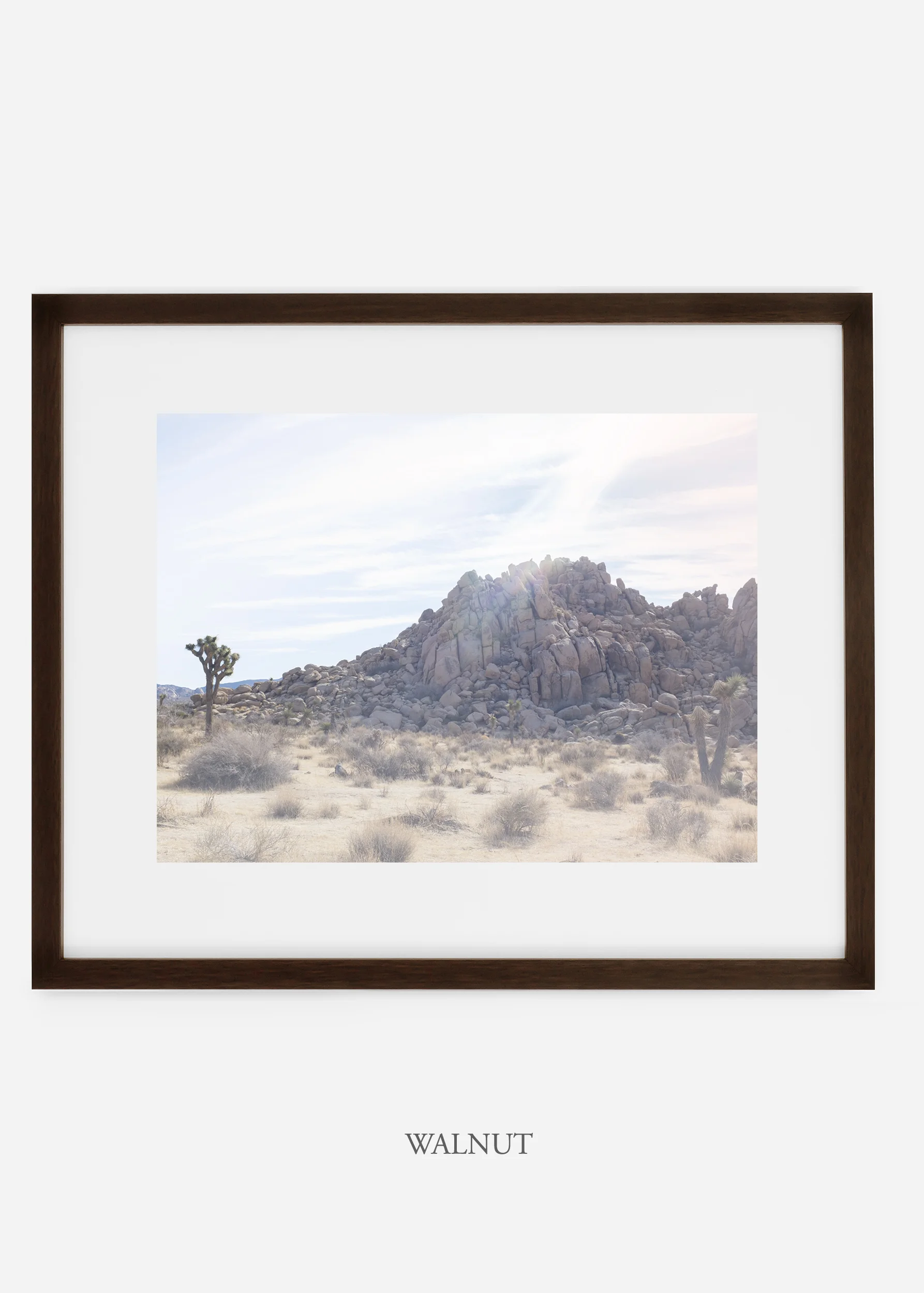 WilderCalifornia_walnut_JoshuaTree_No.20_interiordesign_prints_art.jpg