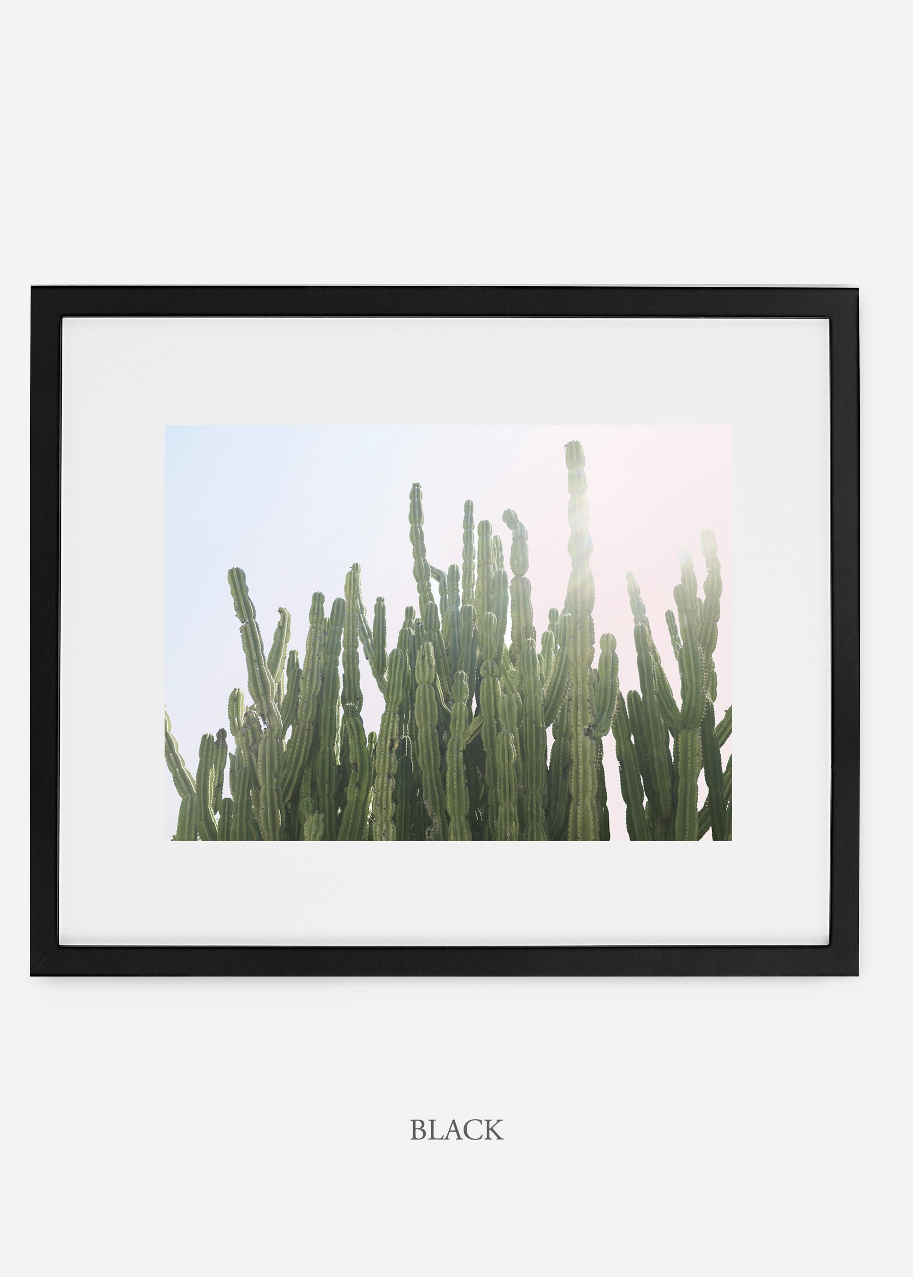 WilderCalifornia_black_interiordesign_cactusprint_MajesticCactusNo.3.jpg
