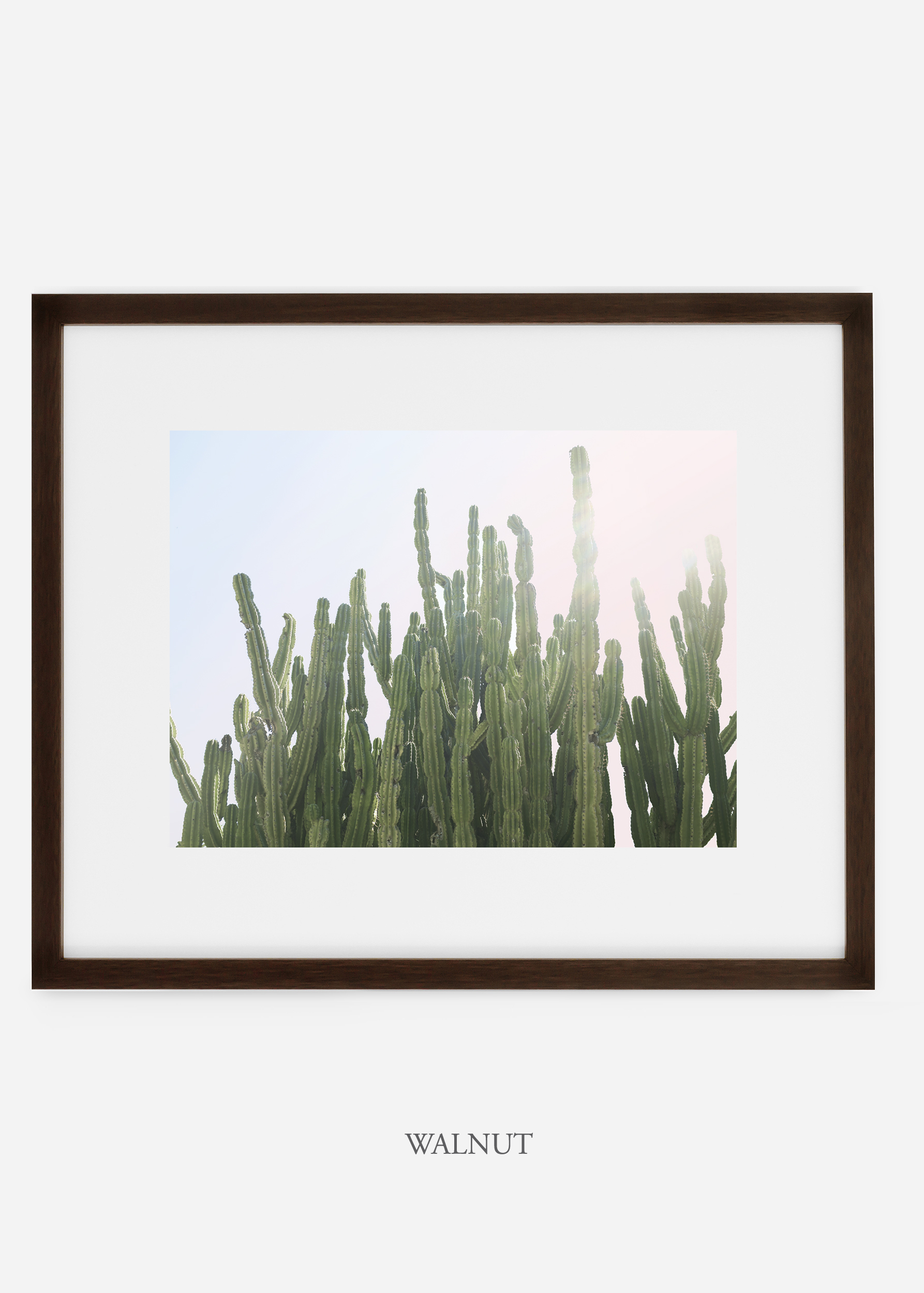 WilderCalifornia_dkwalnut_interiordesign_cactusprint_MajesticCactusNo.3.jpg
