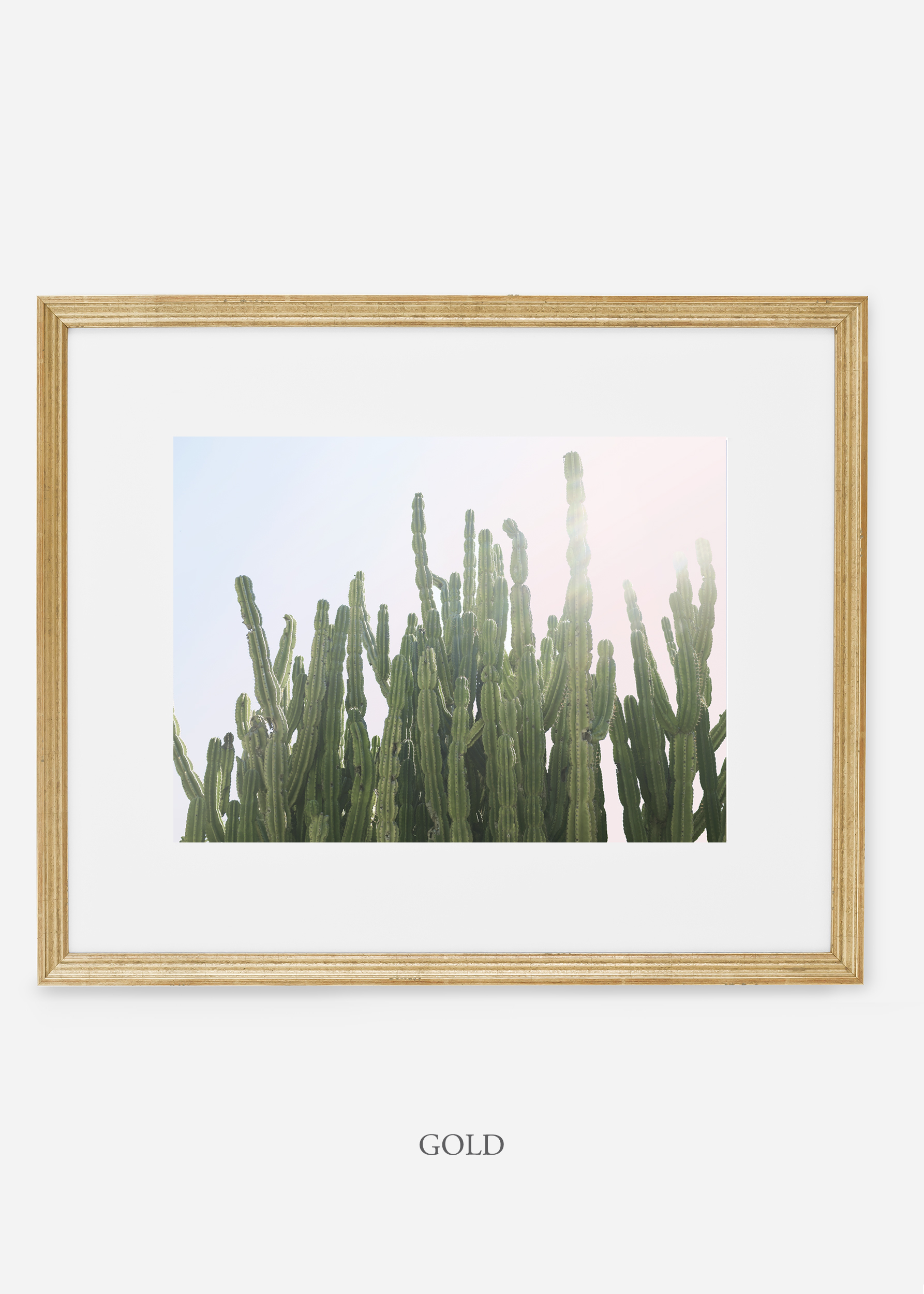 WilderCalifornia_gold_interiordesign_cactusprint_MajesticCactusNo.3.jpg