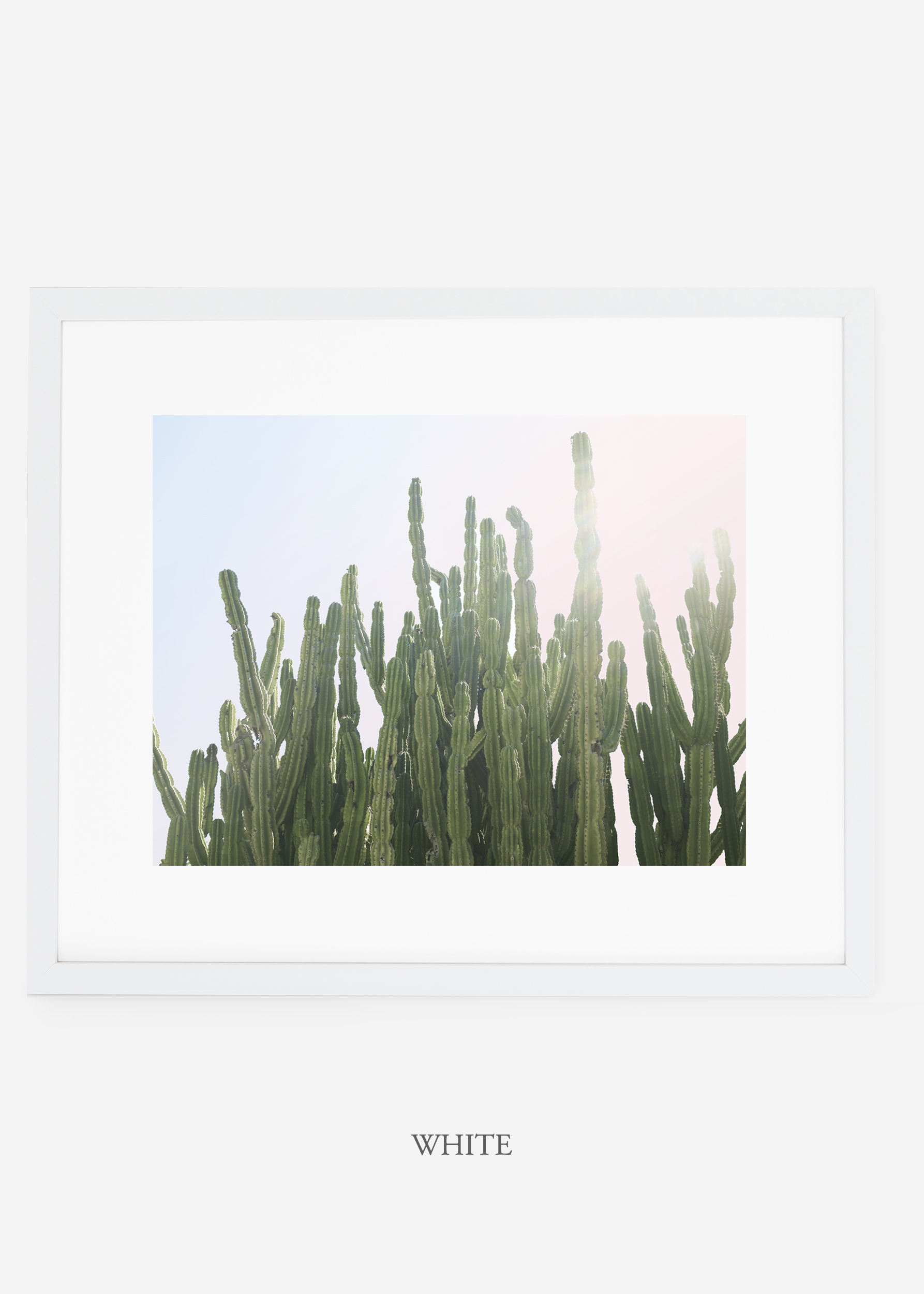 WilderCalifornia_white_interiordesign_cactusprint_MajesticCactusNo.3.jpg