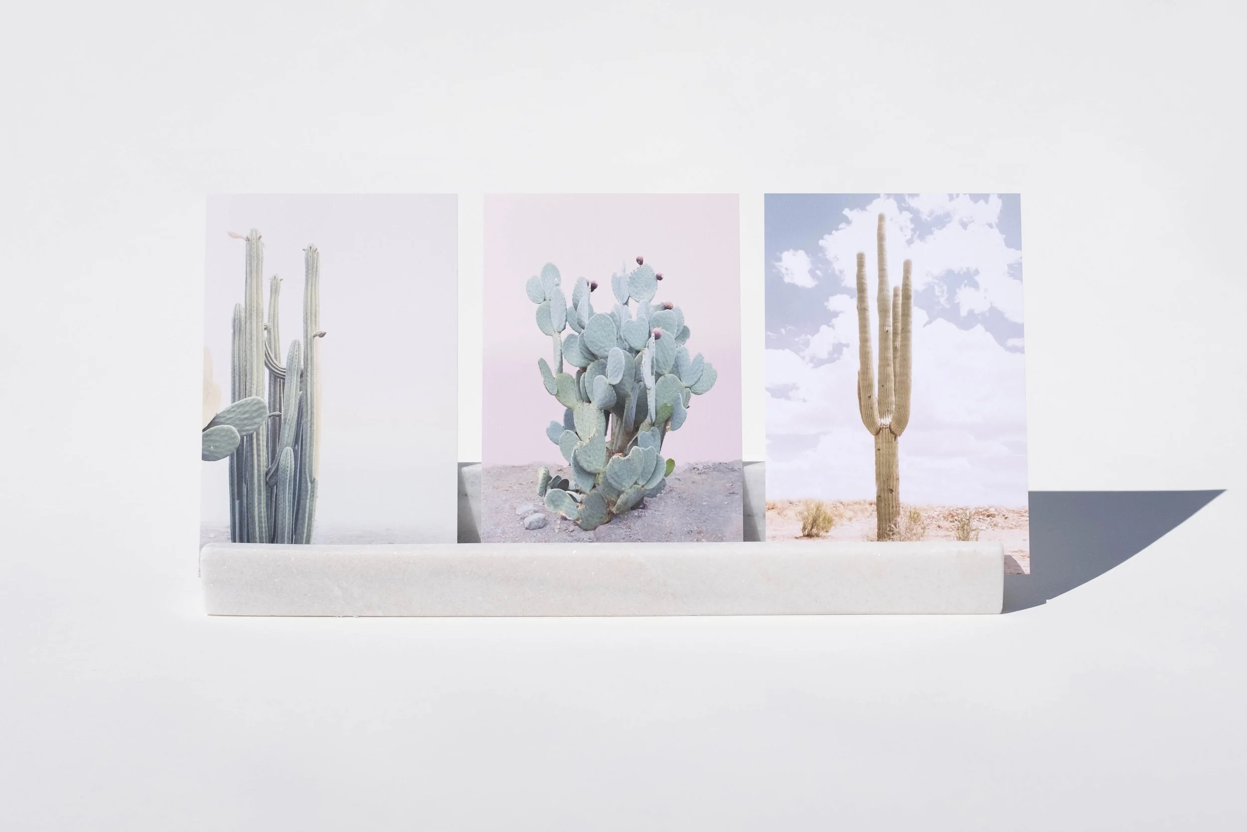 whiteblock_minimalcacti.jpg