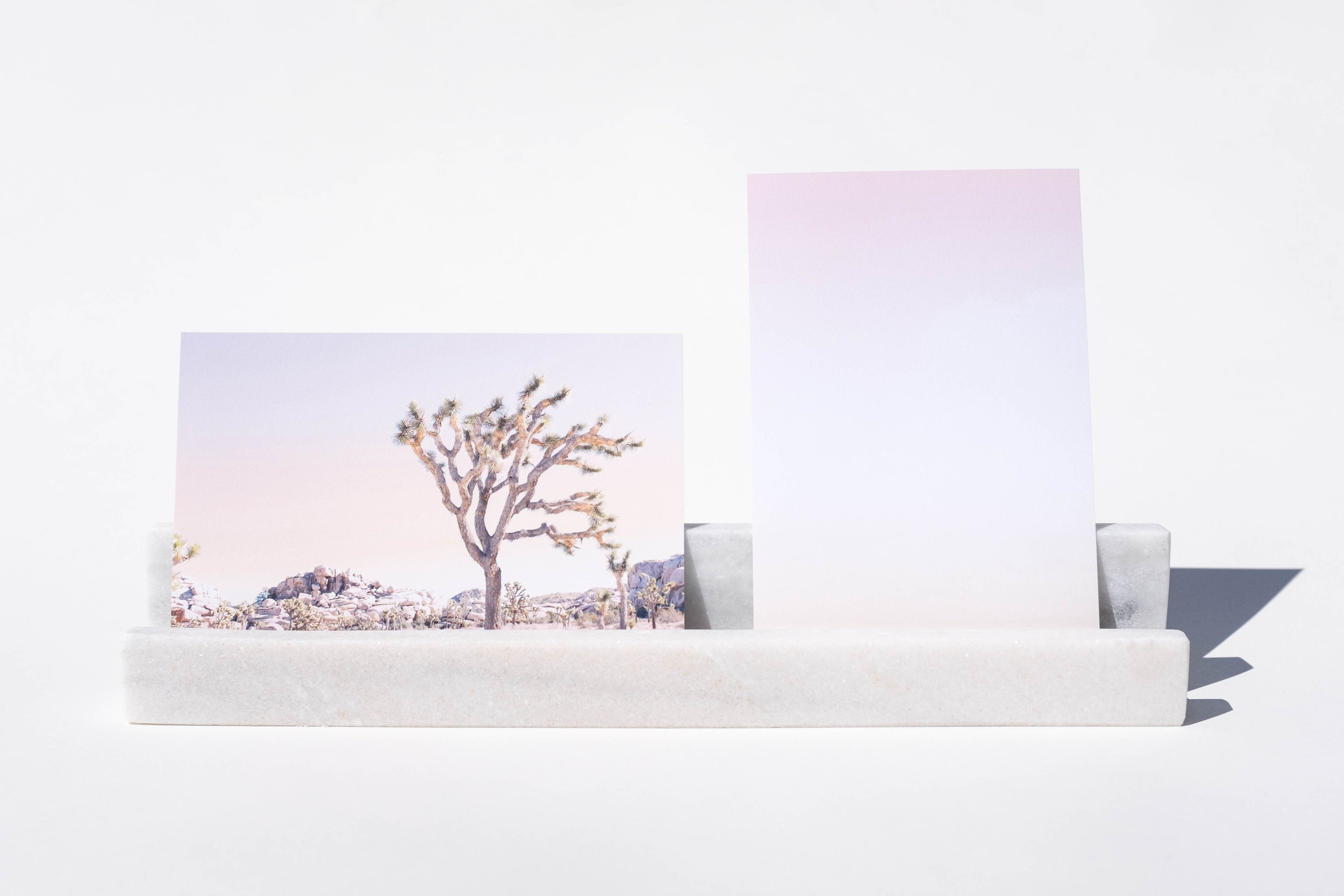 joshuatree_palesky_whiteblock.jpg