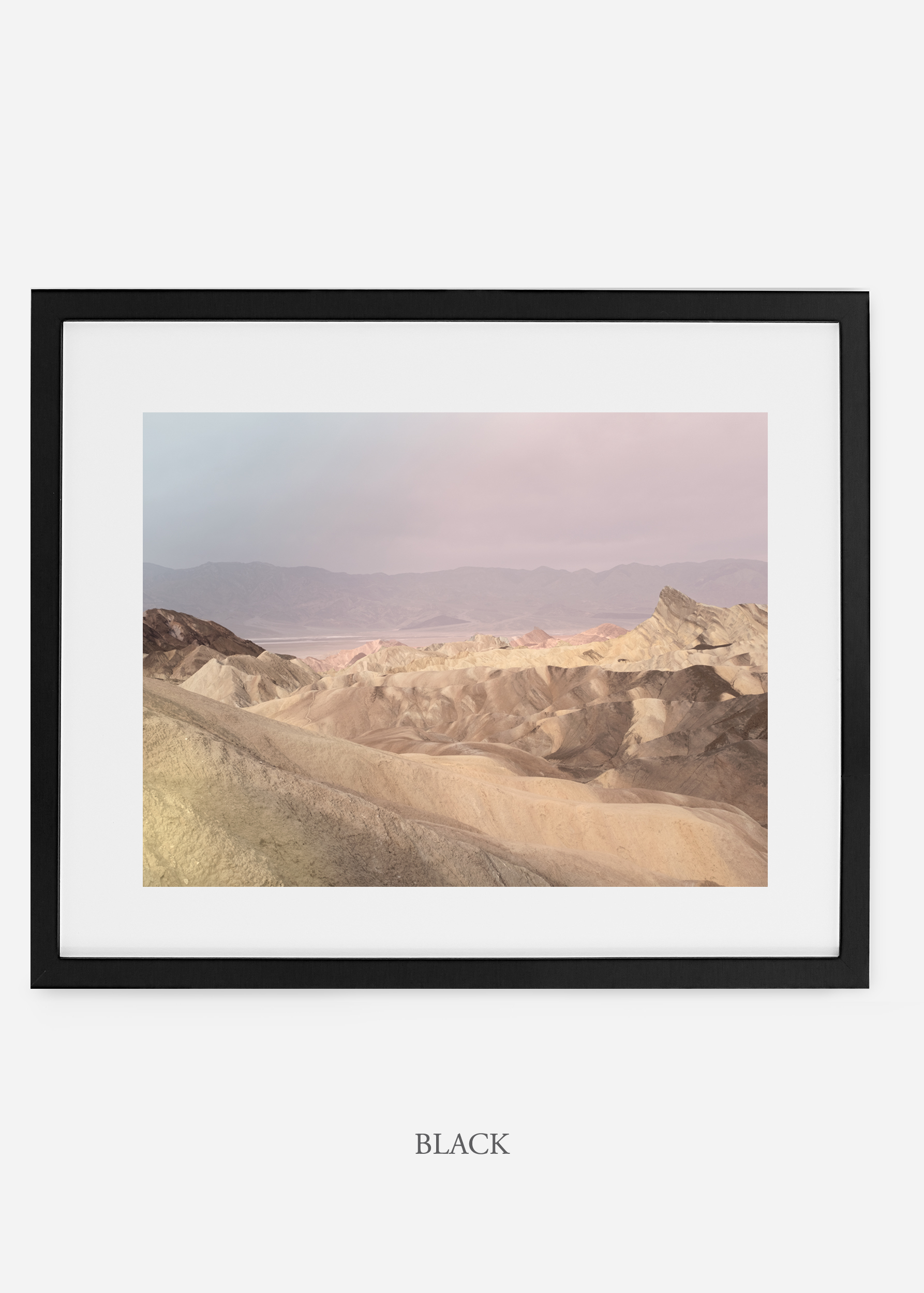 wildercalifornia_blackframe__deathvalley_10_cactus_art_interiordesign_blackandwhite.jpg