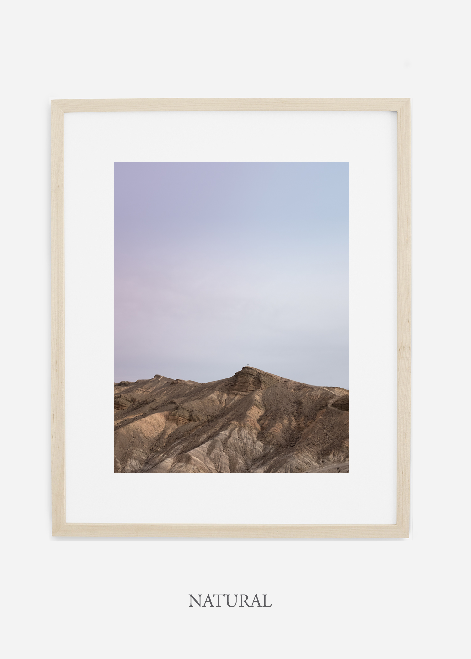 DeathValley_naturalframe__No.11_interiordesign_cactusprint_art.jpg