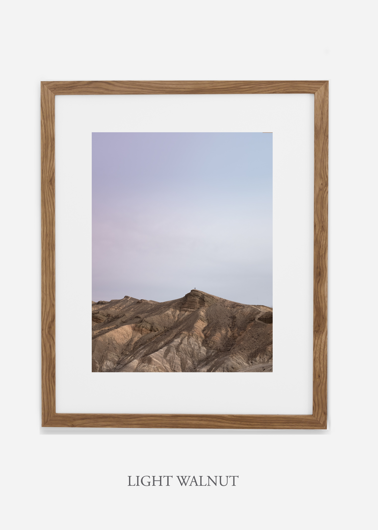 DeathValley_lightwalnutframe__No.11_interiordesign_cactusprint_art.jpg