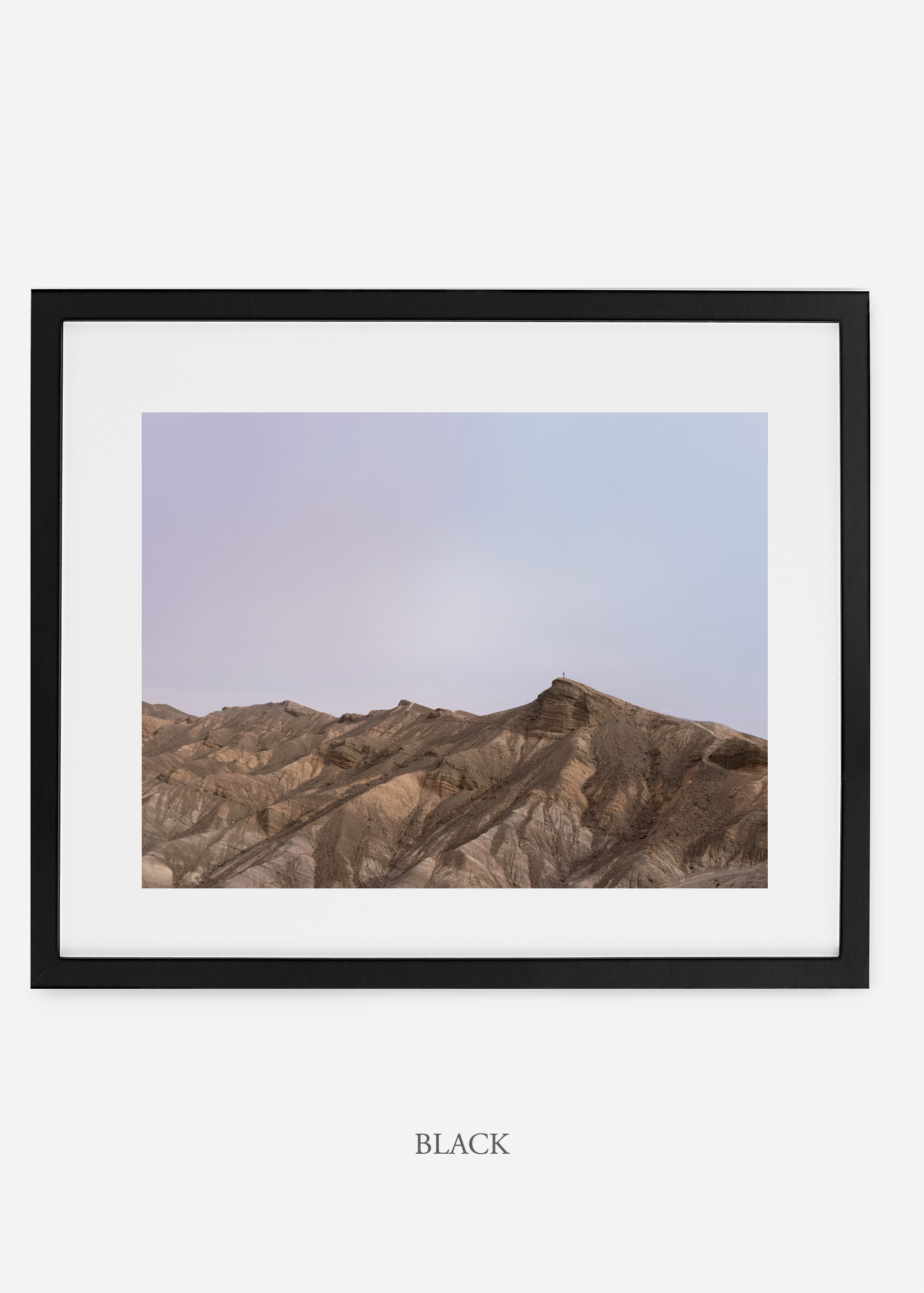 wildercalifornia_blackframe__deathvalley_12_cactus_art_interiordesign_blackandwhite.jpg