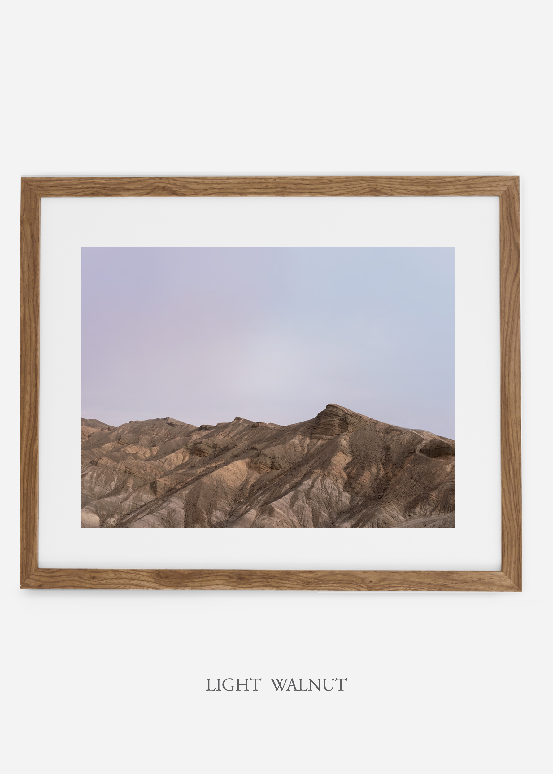 wildercalifornia_lightwalnutframe_deathvalley_12_minimal_cactus_art_interiordesign_blackandwhite.jpg