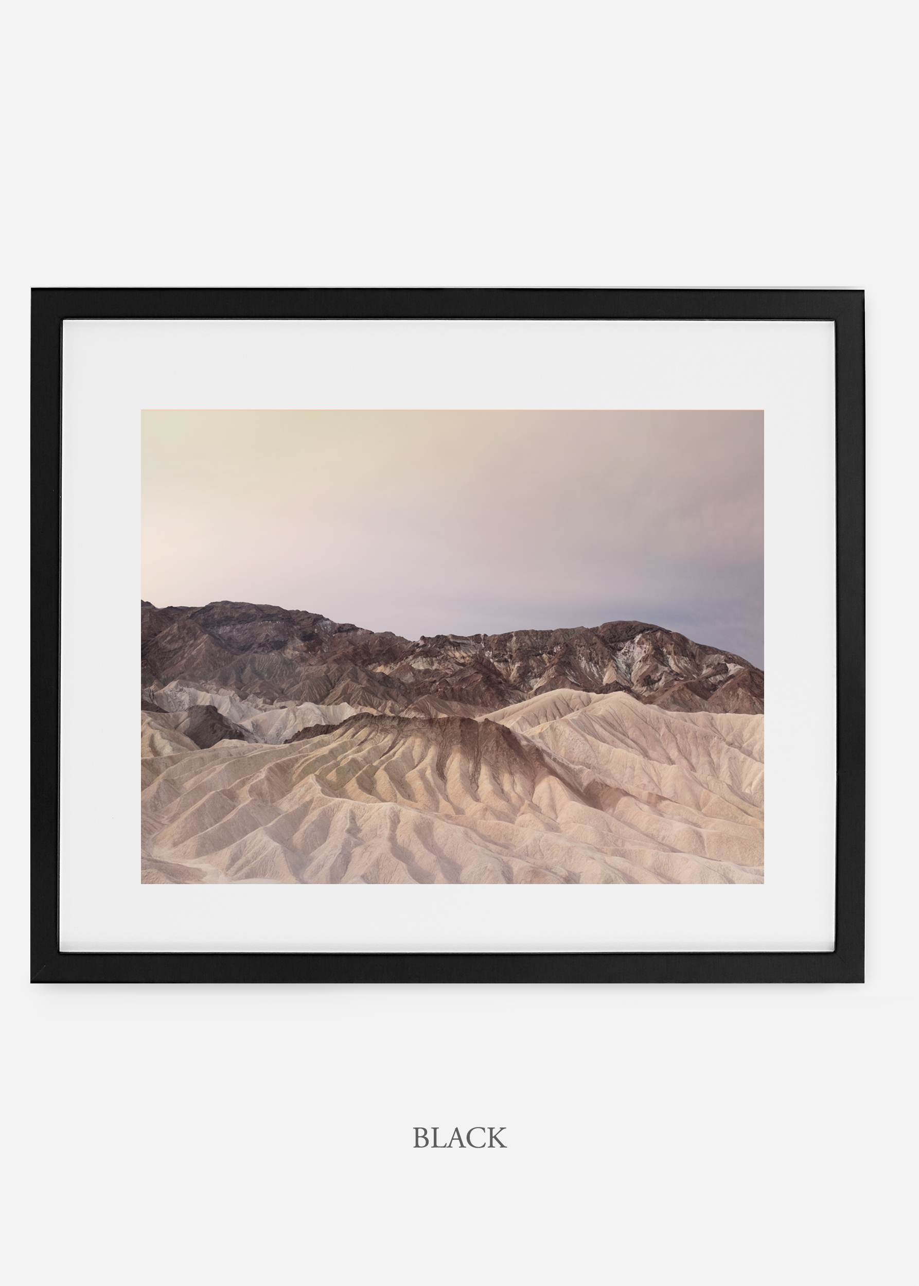 wildercalifornia_blackframe__deathvalley_13_cactus_art_interiordesign_blackandwhite.jpg