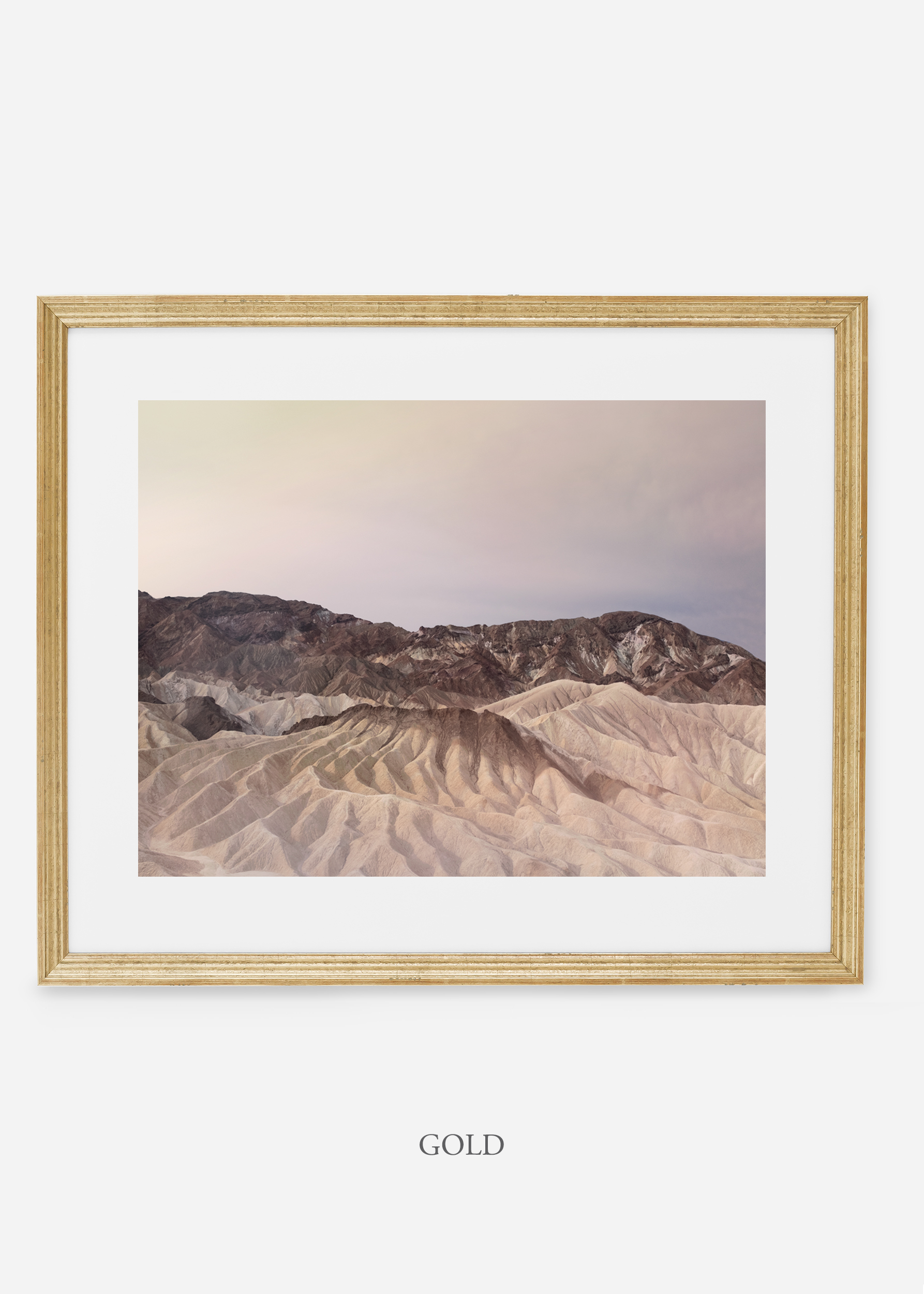 wildercalifornia_goldframe_deathvalley_13_minimal_cactus_art_interiordesign_blackandwhite.jpg