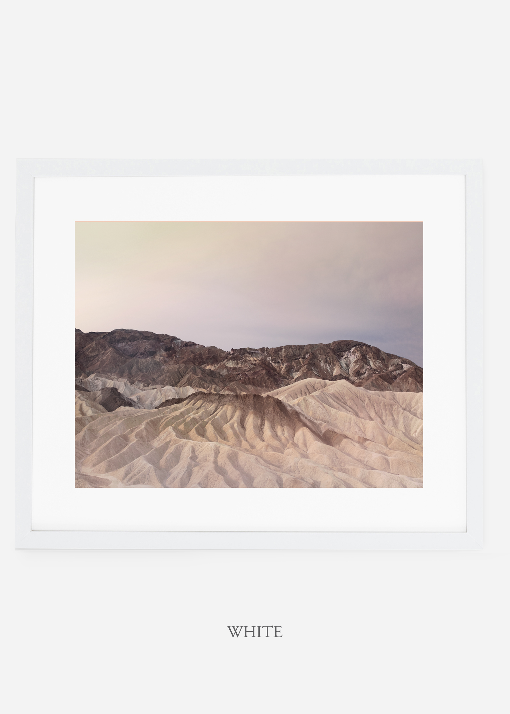 wildercalifornia_whiteframe_deathvalley_12_minimal_cactus_art_interiordesign_.jpg