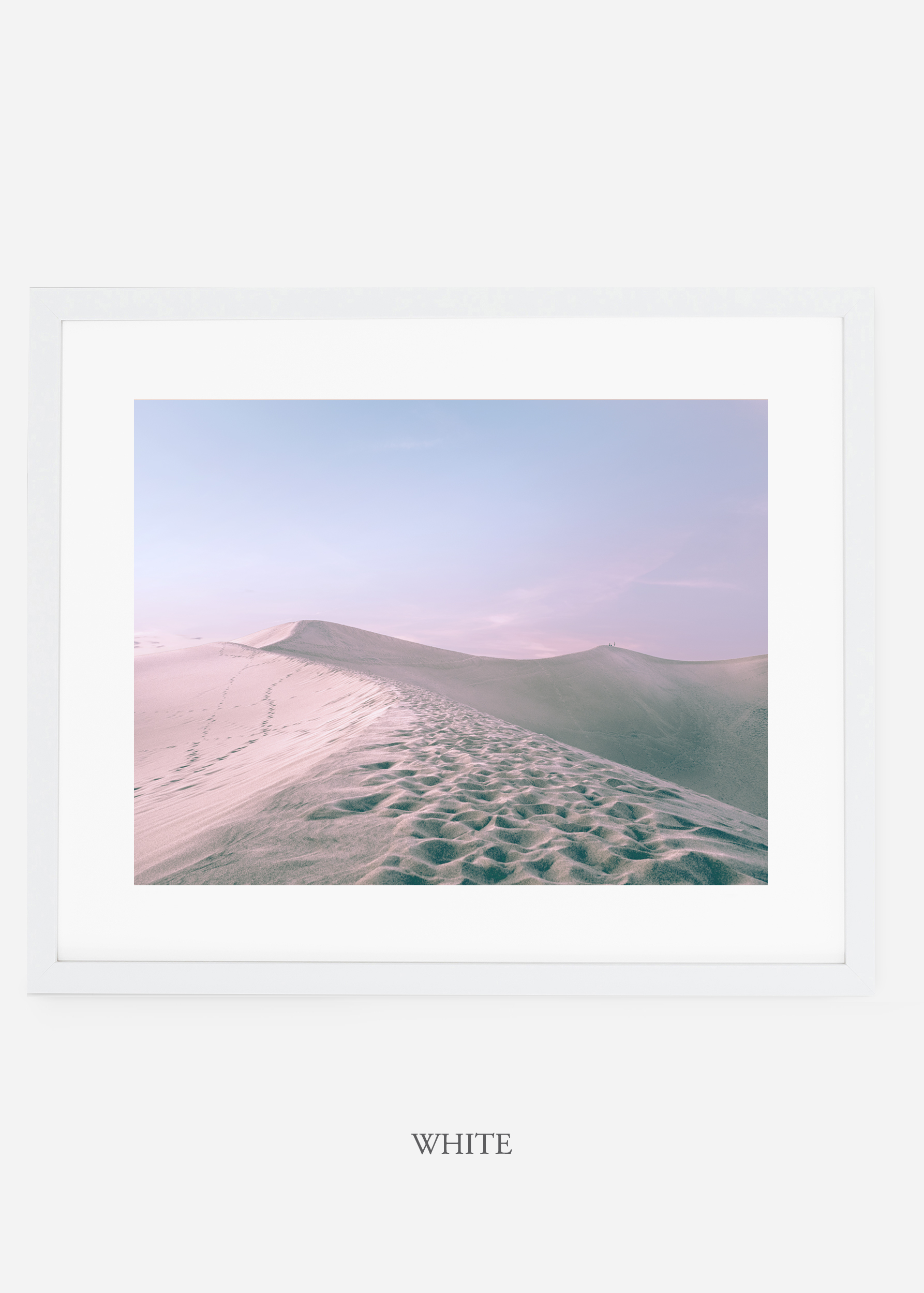 wildercalifornia_whiteframe_deathvalley_16_minimal_cactus_art_interiordesign_.jpg