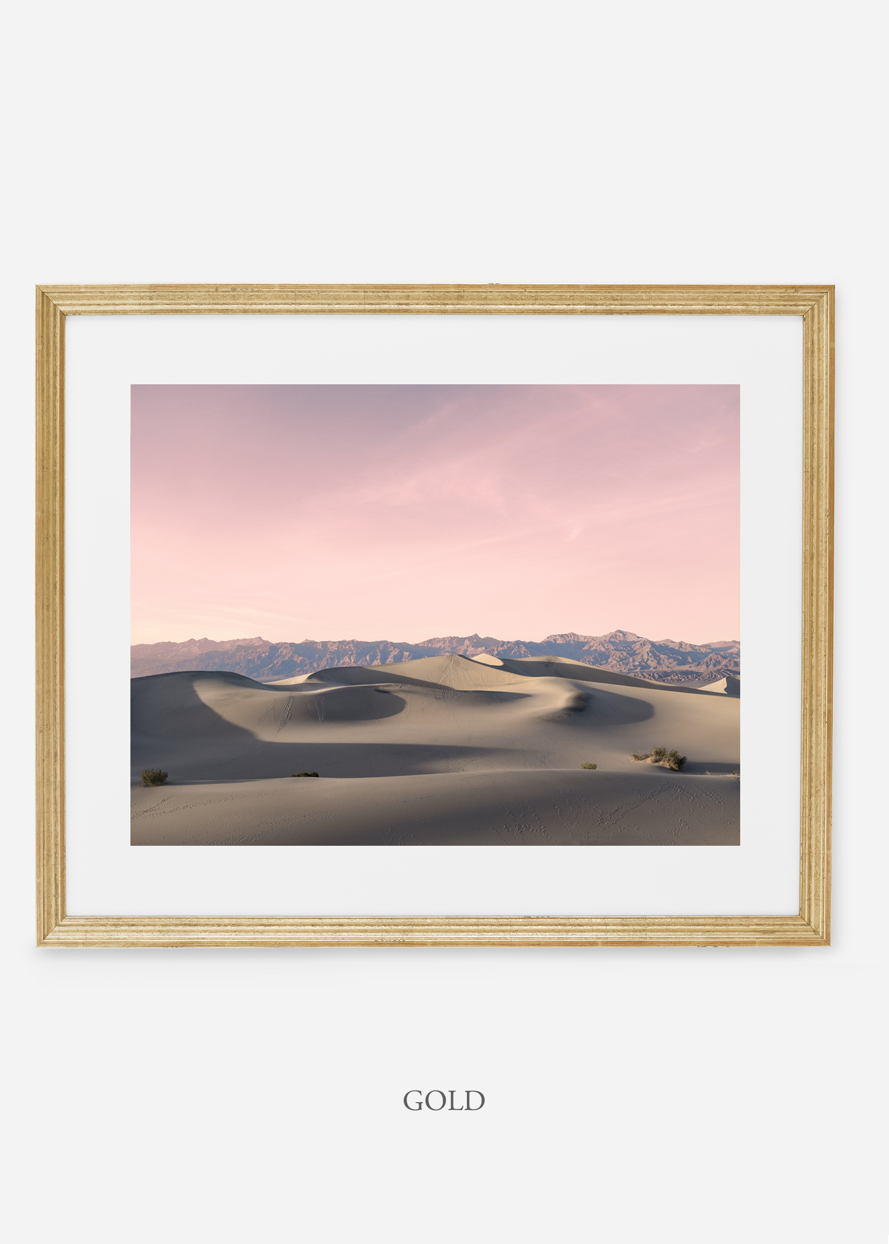 wildercalifornia_goldframe_deathvalley_17_minimal_cactus_art_interiordesign_blackandwhite.jpg