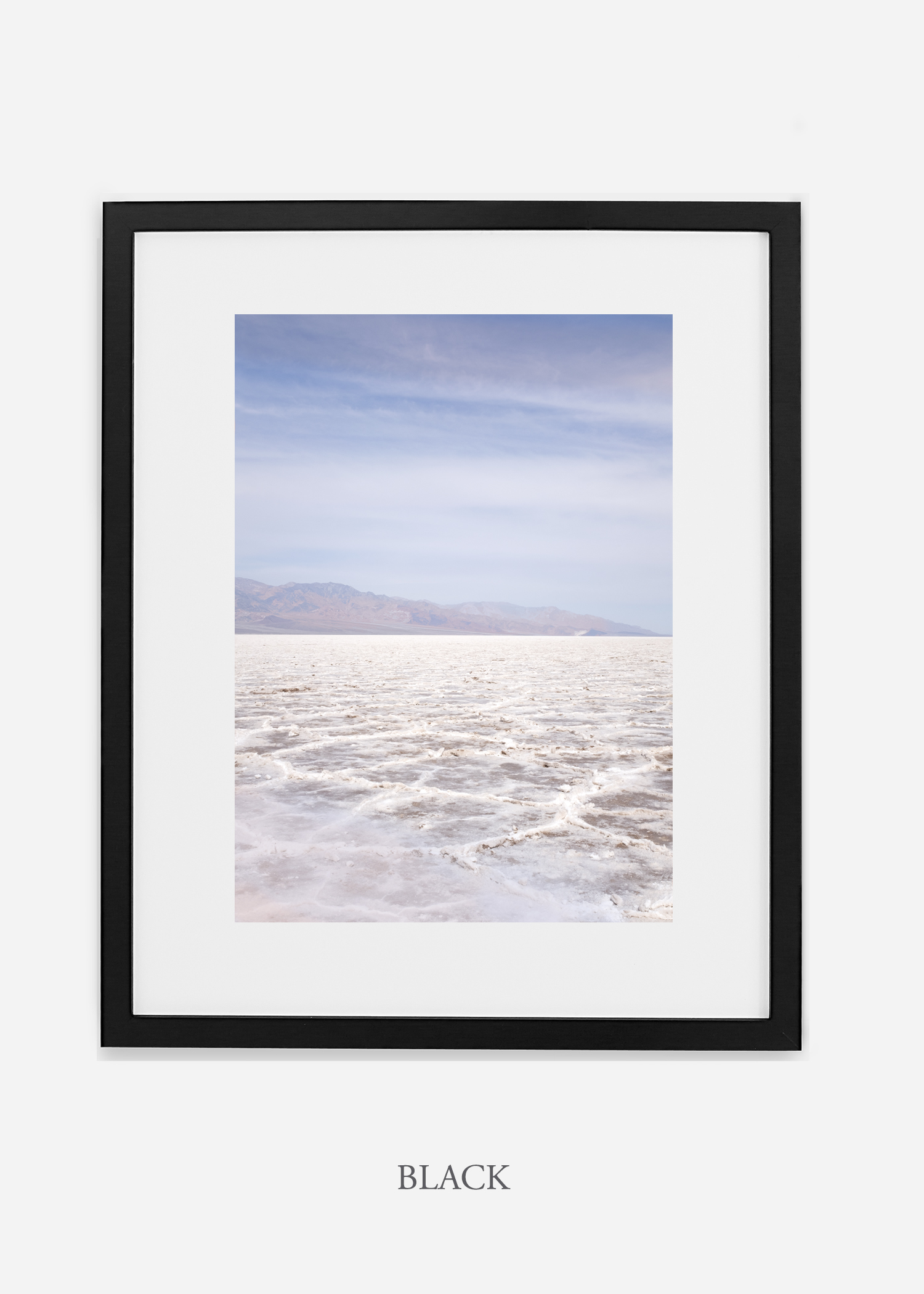 DeathValley_blackframe__No.18_interiordesign_cactusprint_art.jpg