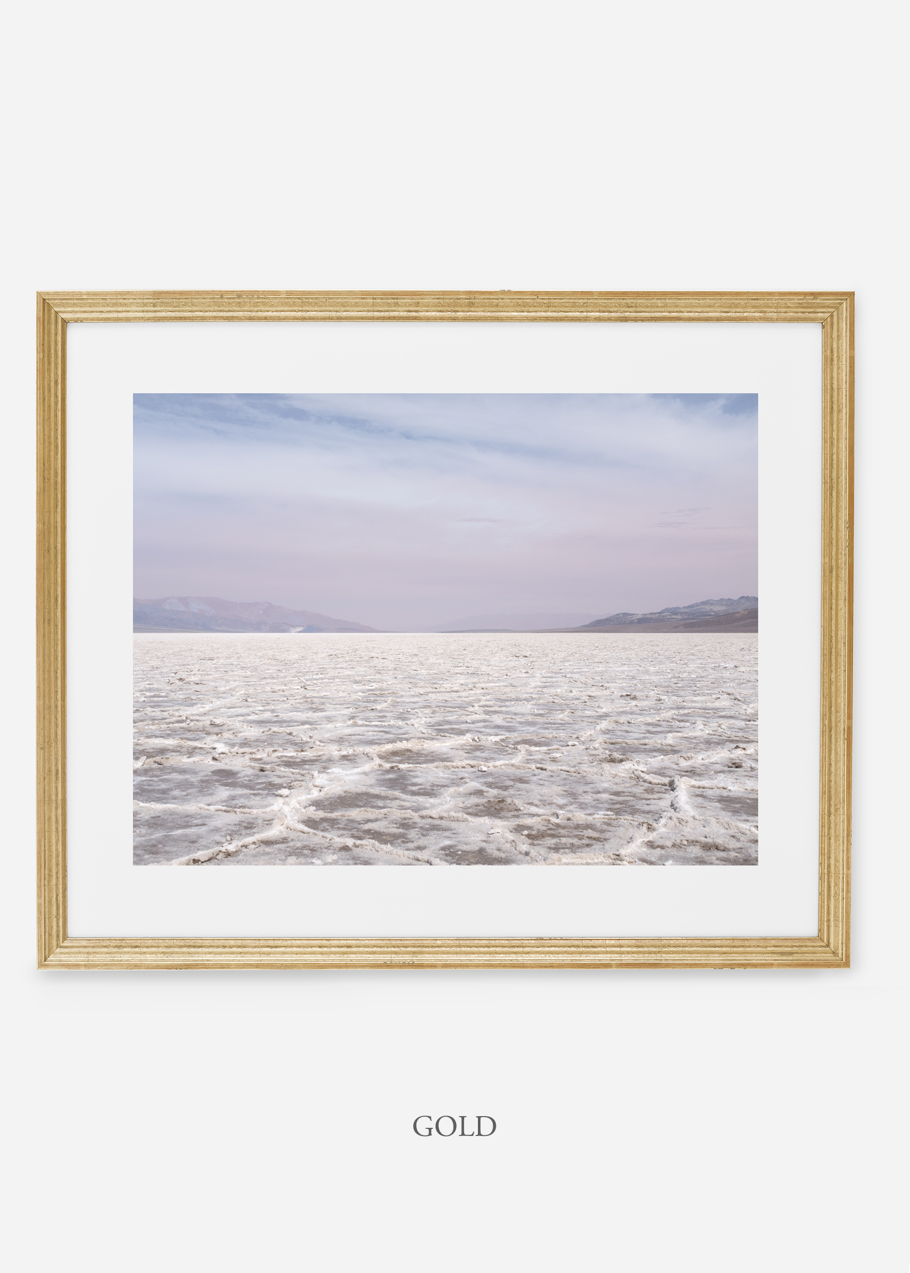 wildercalifornia_goldframe_deathvalley_19_minimal_cactus_art_interiordesign_blackandwhite.jpg