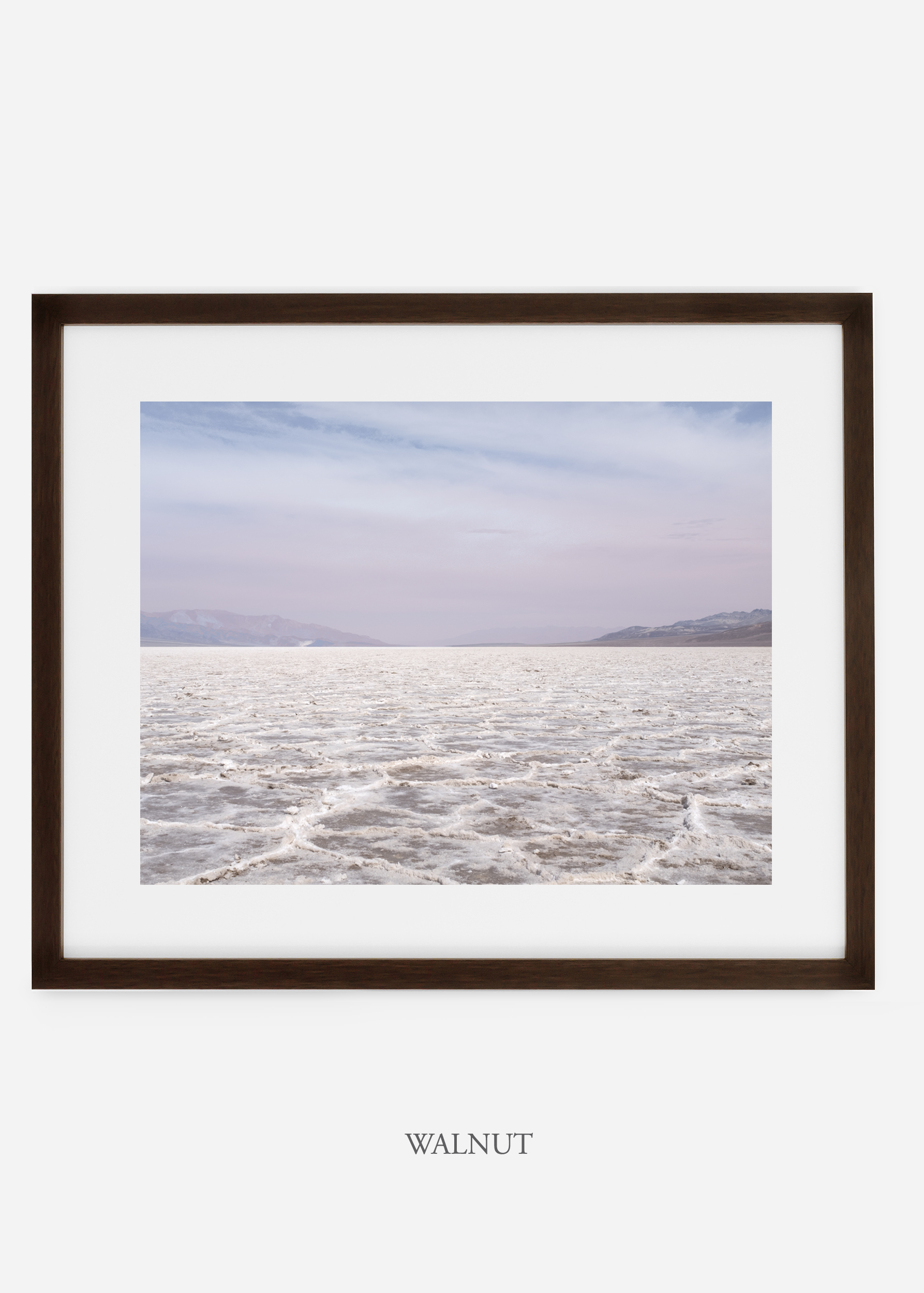 wildercalifornia_walnutframe_deathvalley_19_minimal_cactus_art_interiordesign_blackandwhite.jpg