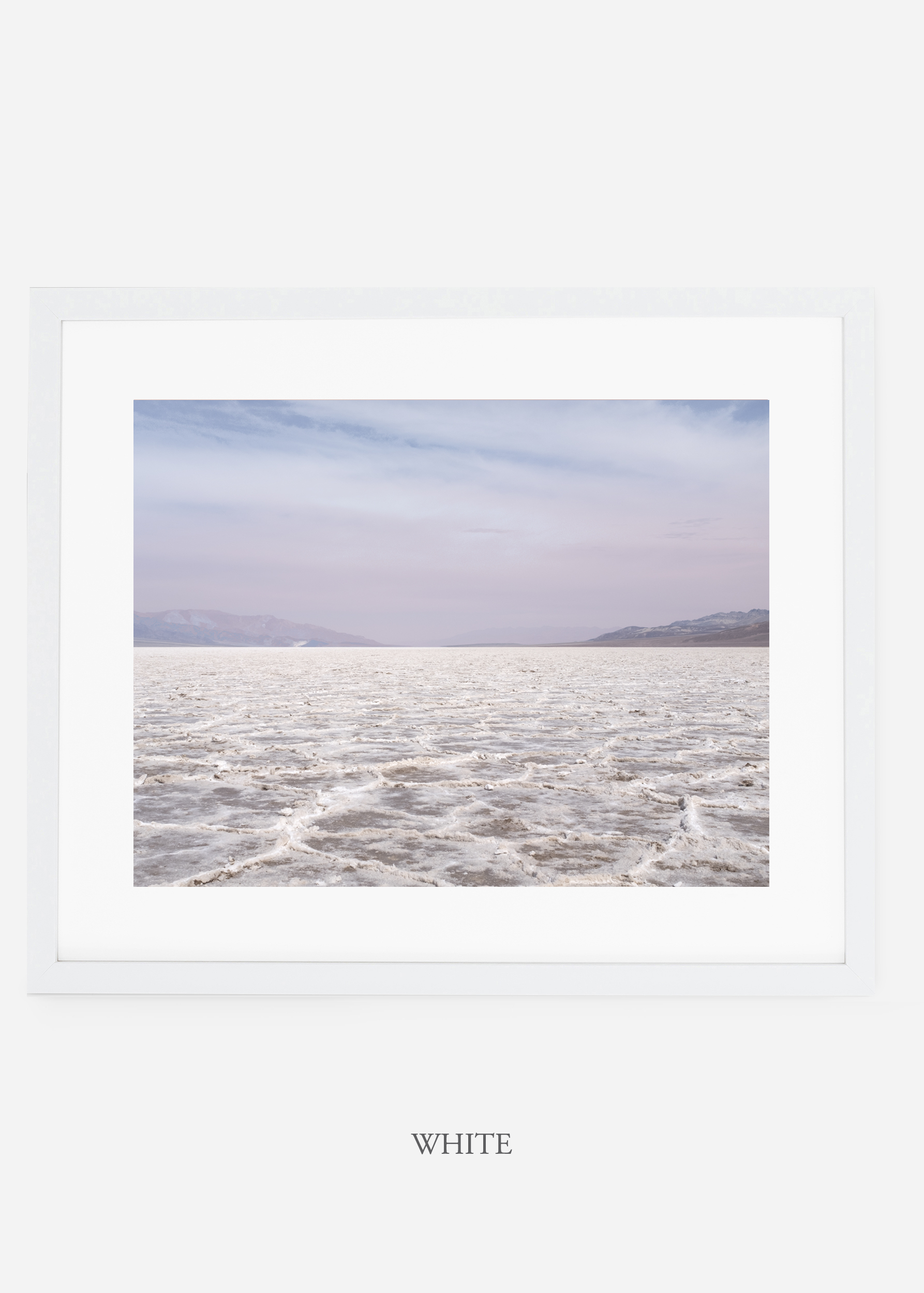 wildercalifornia_whiteframe_deathvalley_19_minimal_cactus_art_interiordesign_.jpg