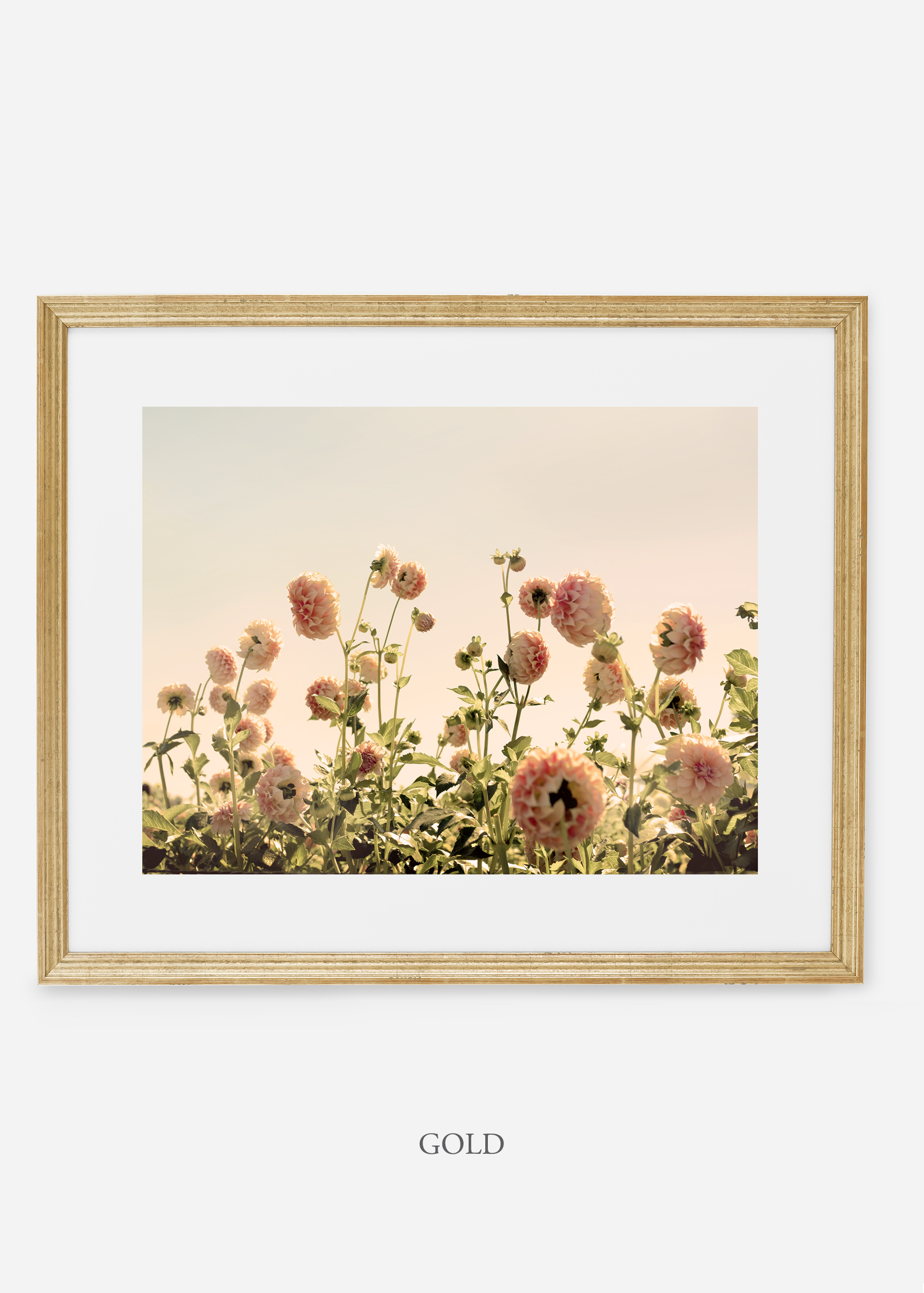 GoldFrame_DahliaNo.1_WilderCalifornia_Art_Floral_Homedecor_Prints_Dahlia_Botanical_Artwork_Interiordesign.jpg