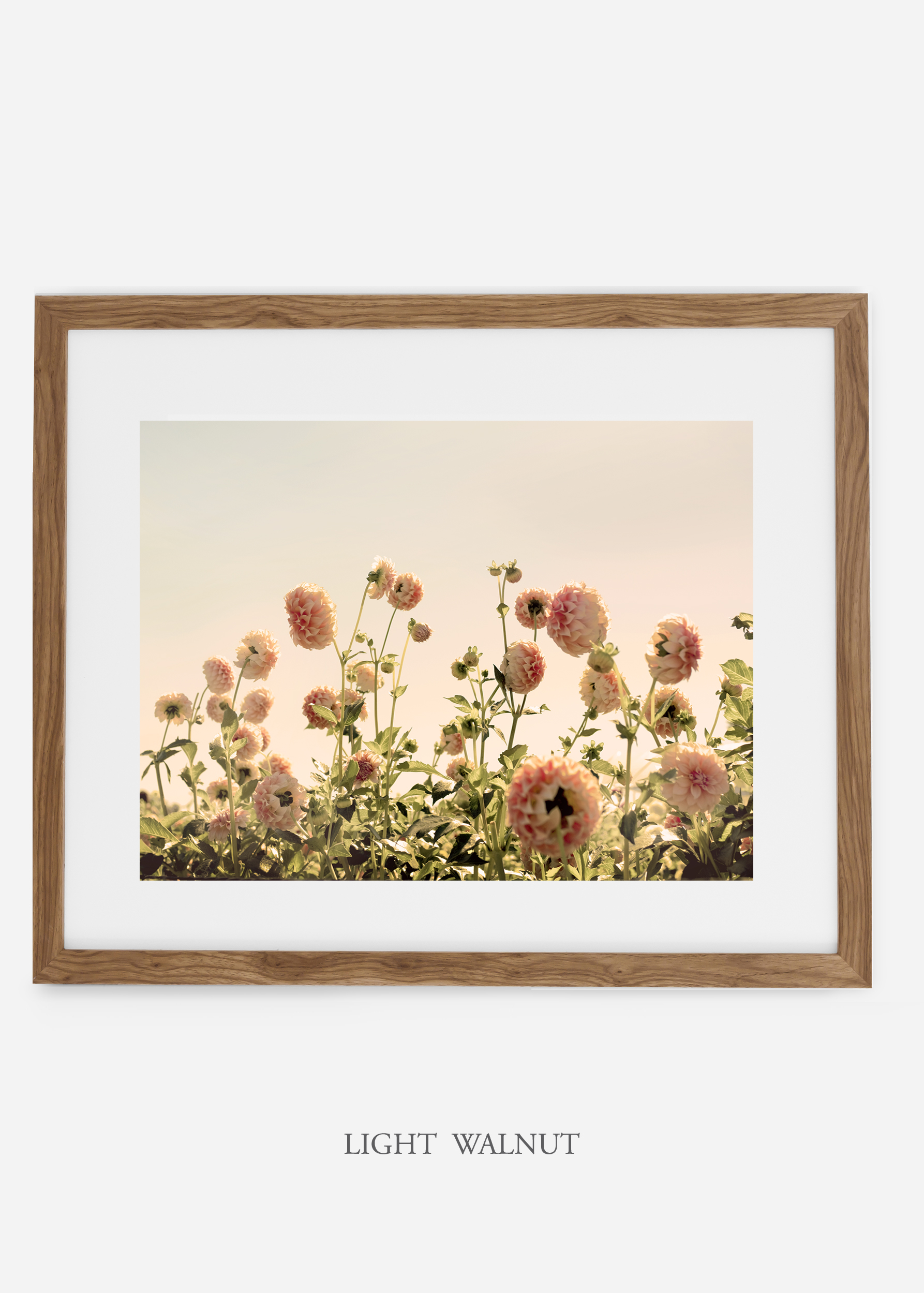 LightWalnutFrame_DahliaNo.1_WilderCalifornia_Art_Floral_Homedecor_Prints_Dahlia_Botanical_Artwork_Interiordesign.jpg