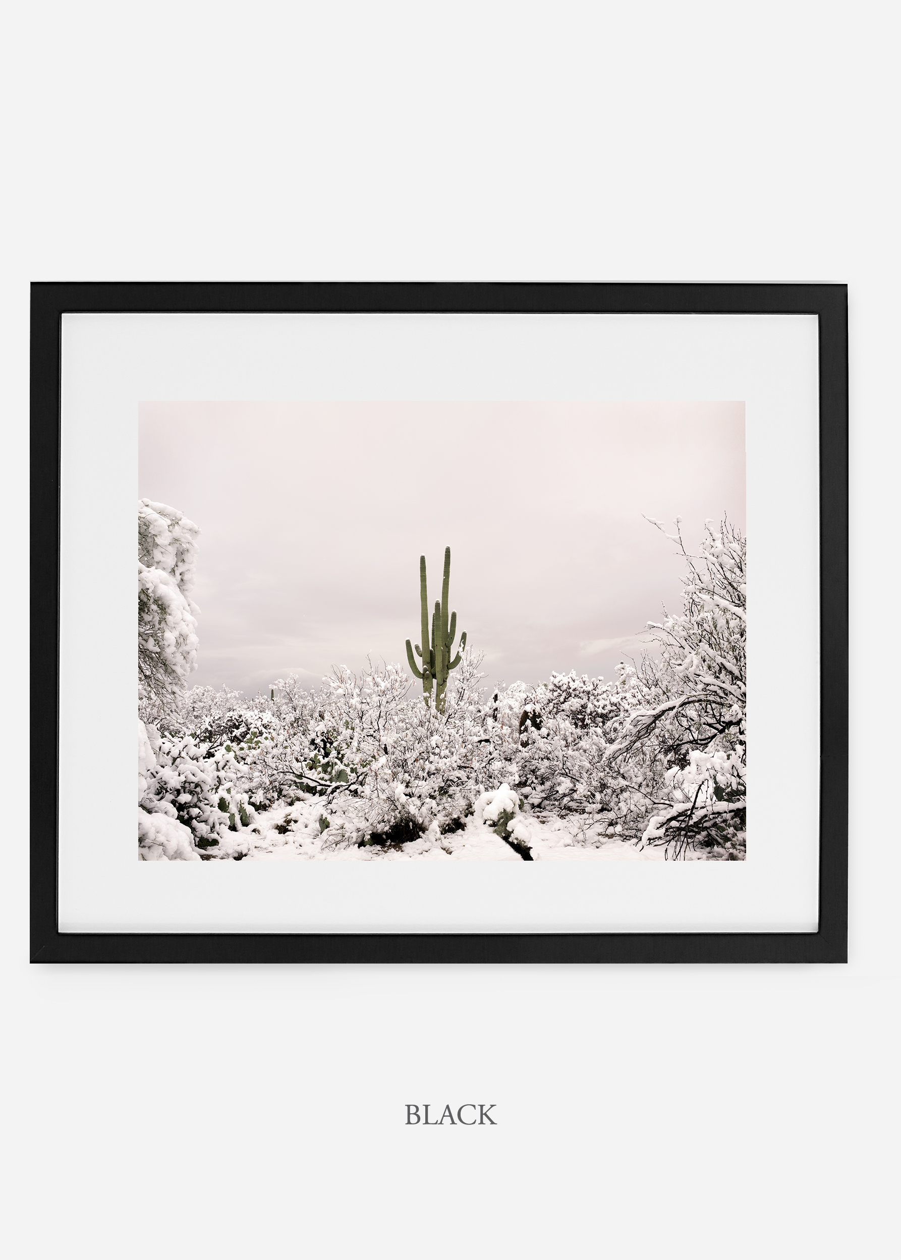 blackframe-saguaroNo.1-wildercalifornia-art-wallart-cactusprint-homedecor-prints-arizona-botanical-artwork-interiordesign.jpg