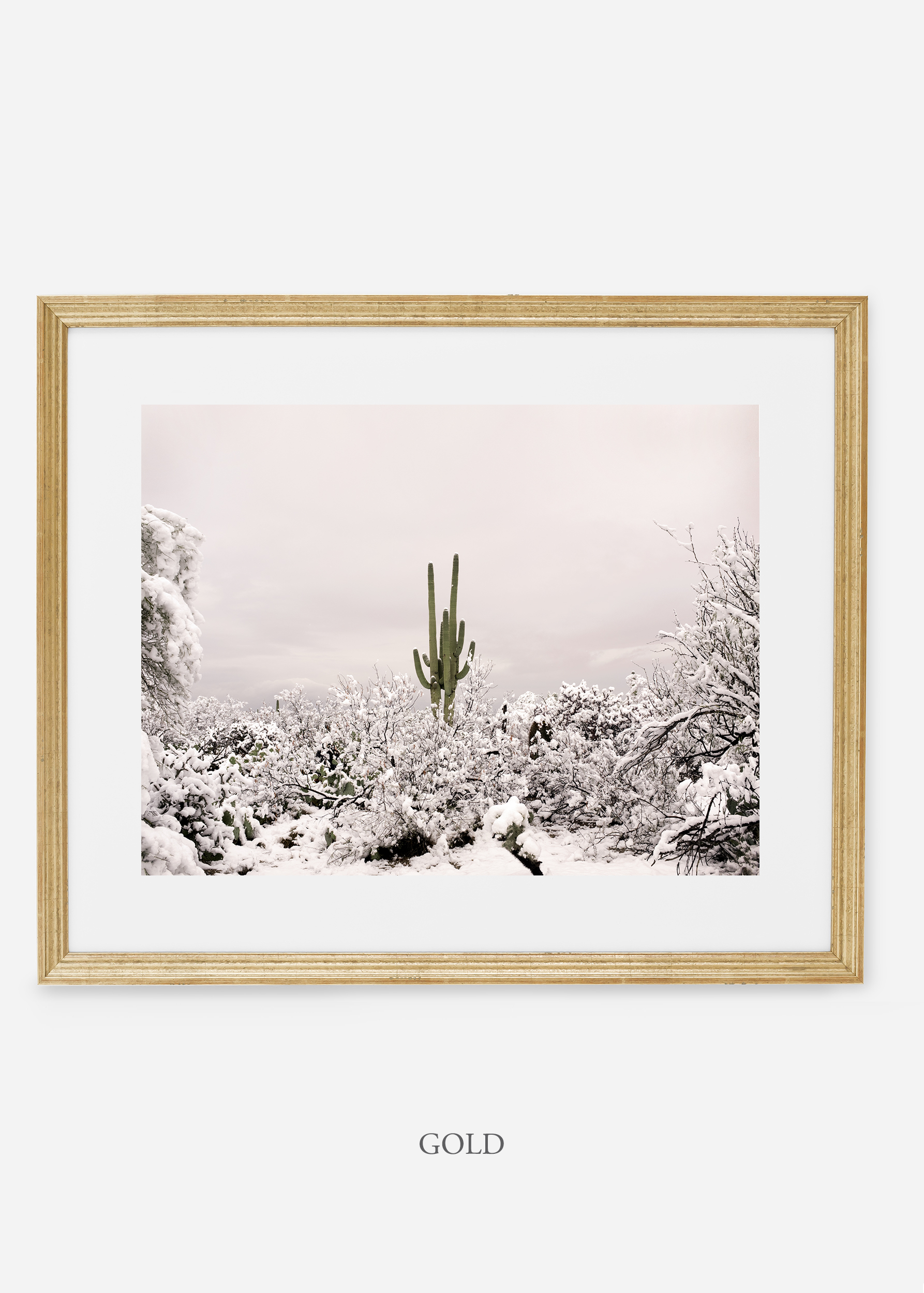 goldframe-saguaroNo.1-wildercalifornia-art-wallart-cactusprint-homedecor-prints-arizona-botanical-artwork-interiordesign.jpg