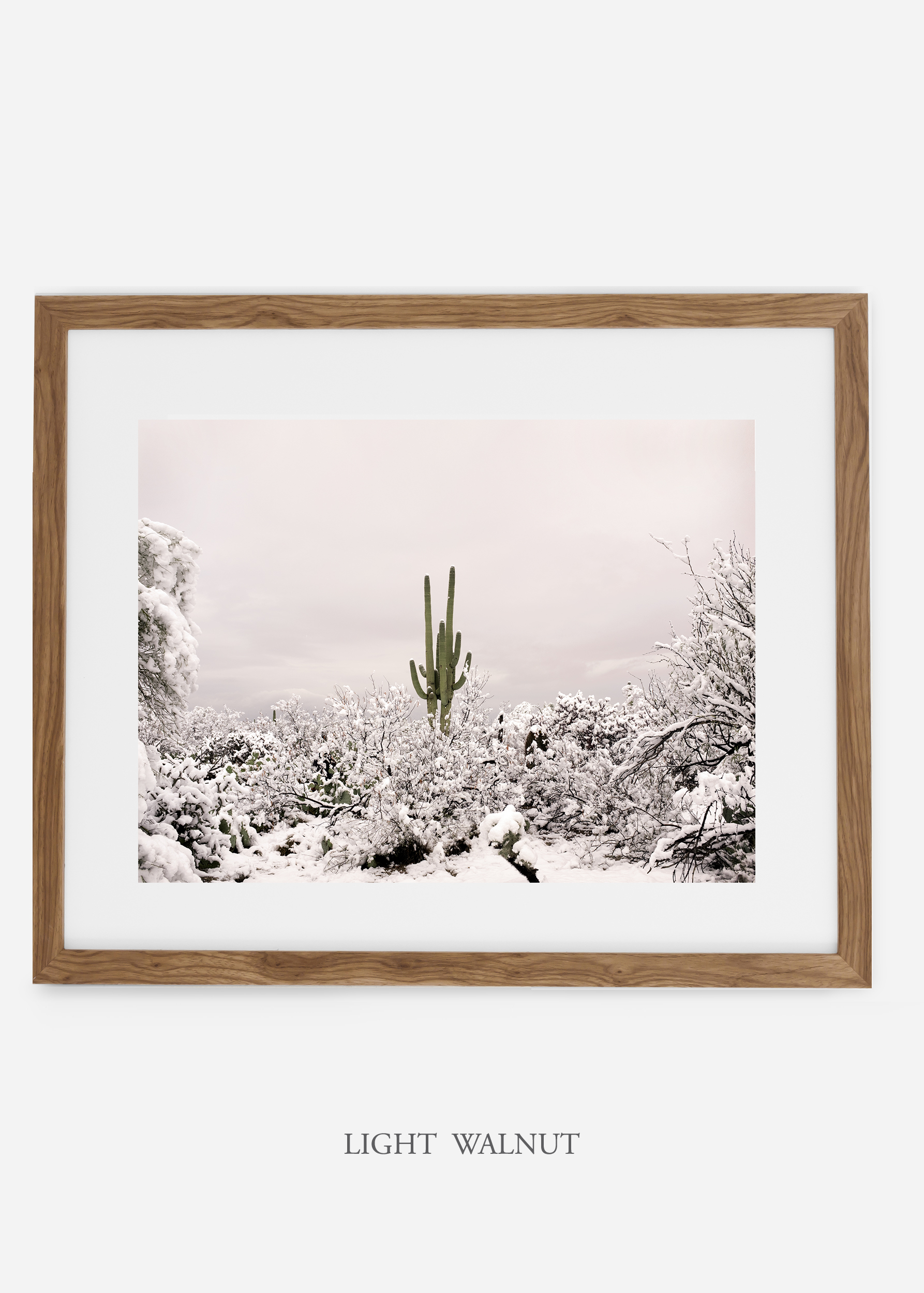 lightwalnutframe-saguaroNo.1-wildercalifornia-art-wallart-cactusprint-homedecor-prints-arizona-botanical-artwork-interiordesign.jpg