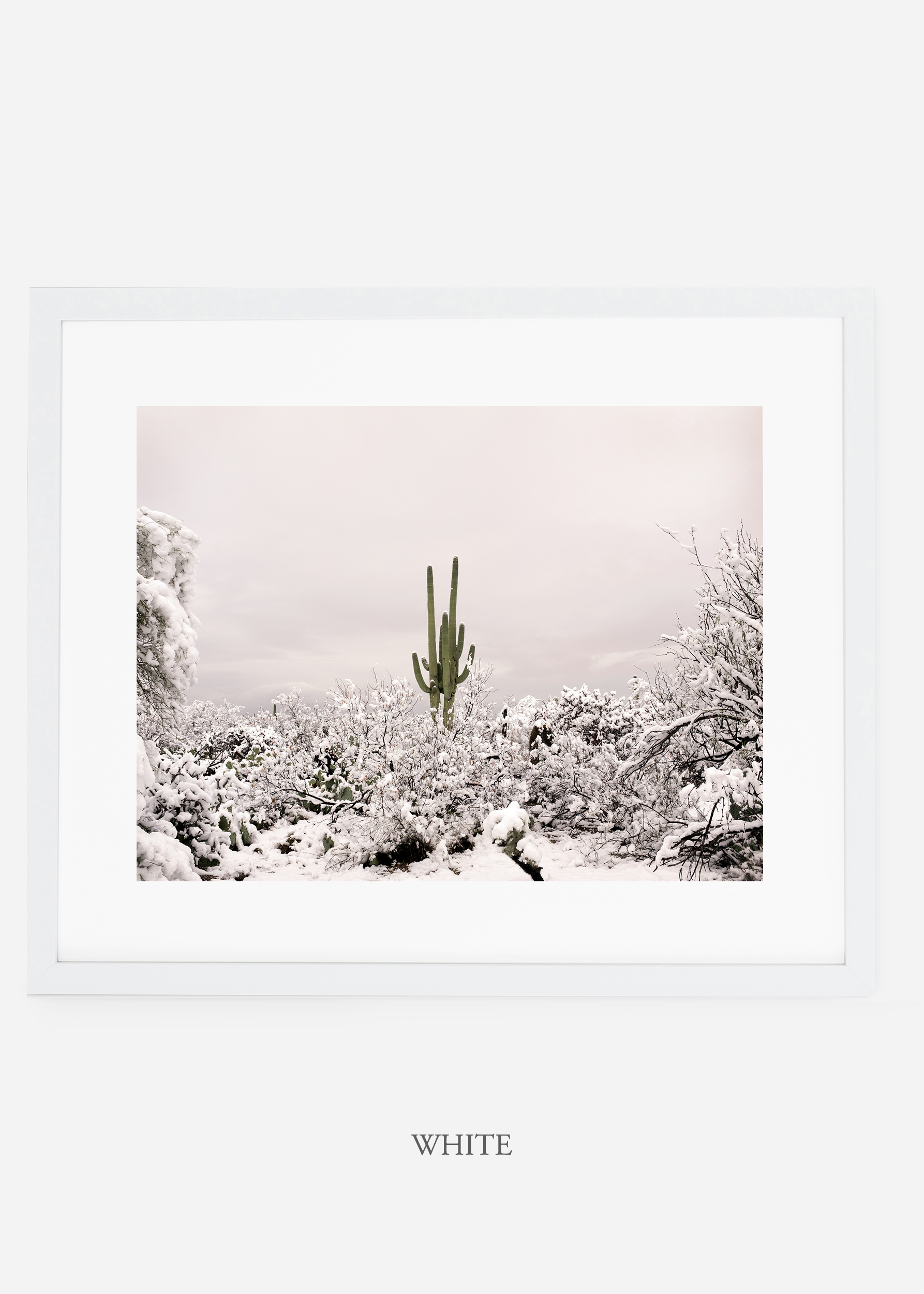 whiteframe-saguaroNo.1-wildercalifornia-art-wallart-cactusprint-homedecor-prints-arizona-botanical-artwork-interiordesign.jpg