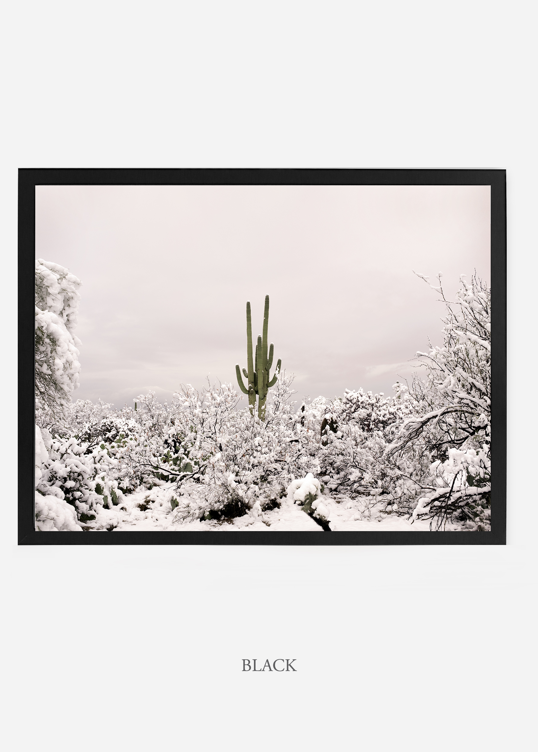 nomat_blackframe-saguaroNo.1-wildercalifornia-art-wallart-cactusprint-homedecor-prints-arizona-botanical-artwork-interiordesign.jpg