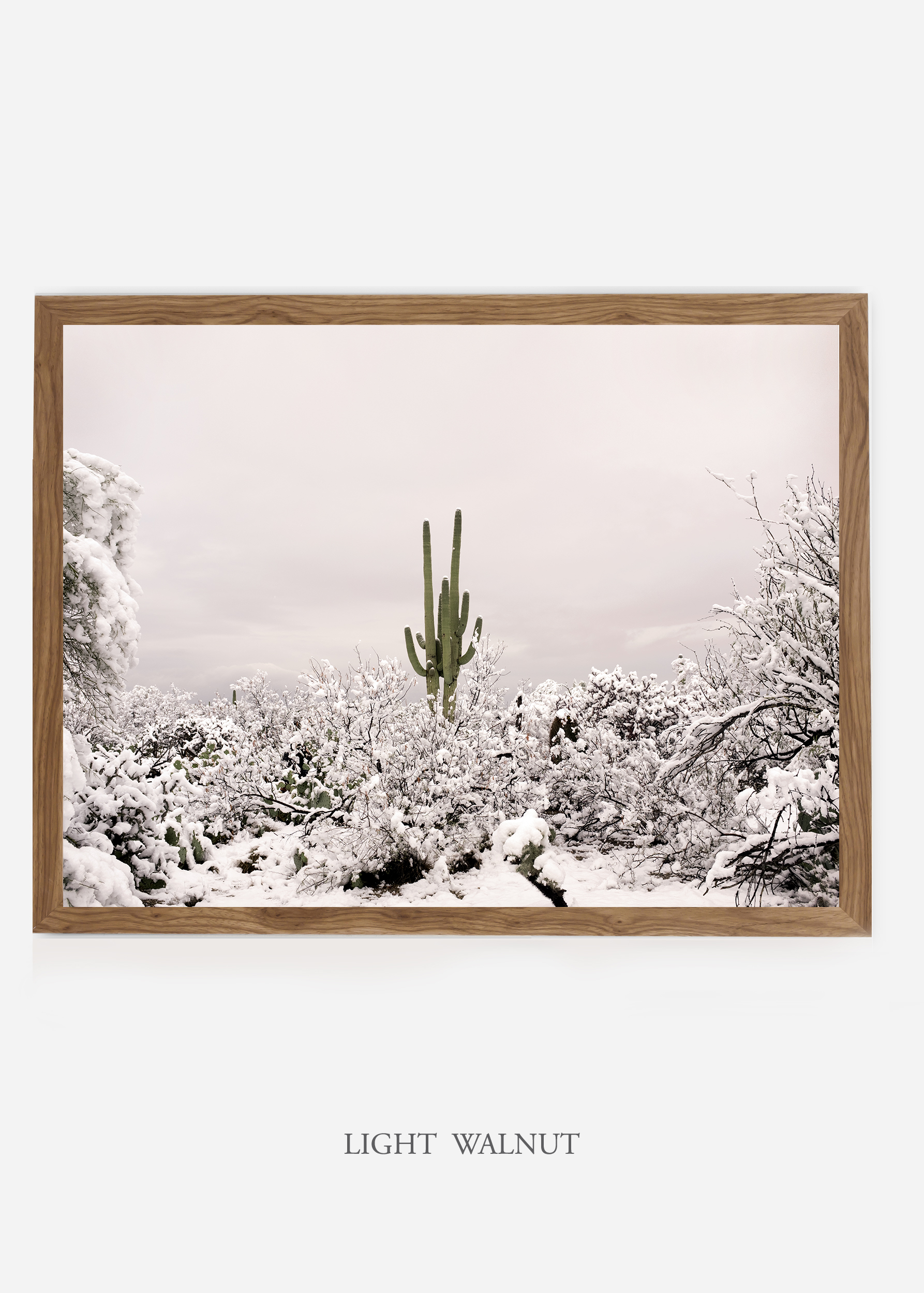 nomat_lightwalnutframe-saguaroNo.1-wildercalifornia-art-wallart-cactusprint-homedecor-prints-arizona-botanical-artwork-interiordesign.jpg