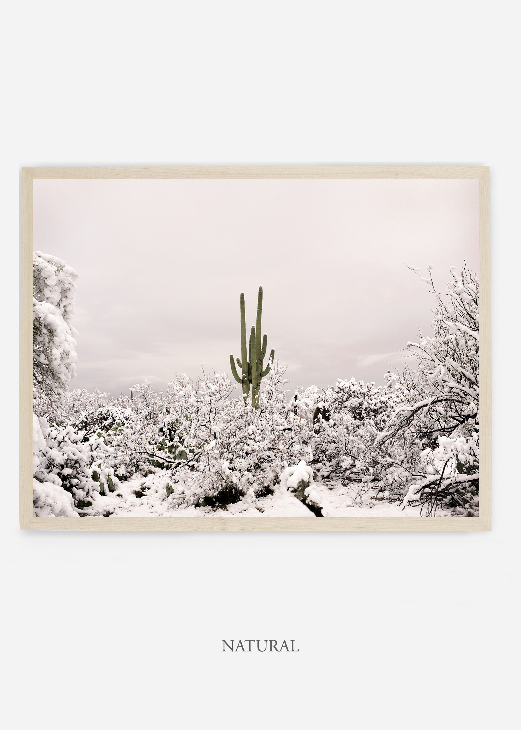 nomat_naturalframe-saguaroNo.1-wildercalifornia-art-wallart-cactusprint-homedecor-prints-arizona-botanical-artwork-interiordesign.jpg