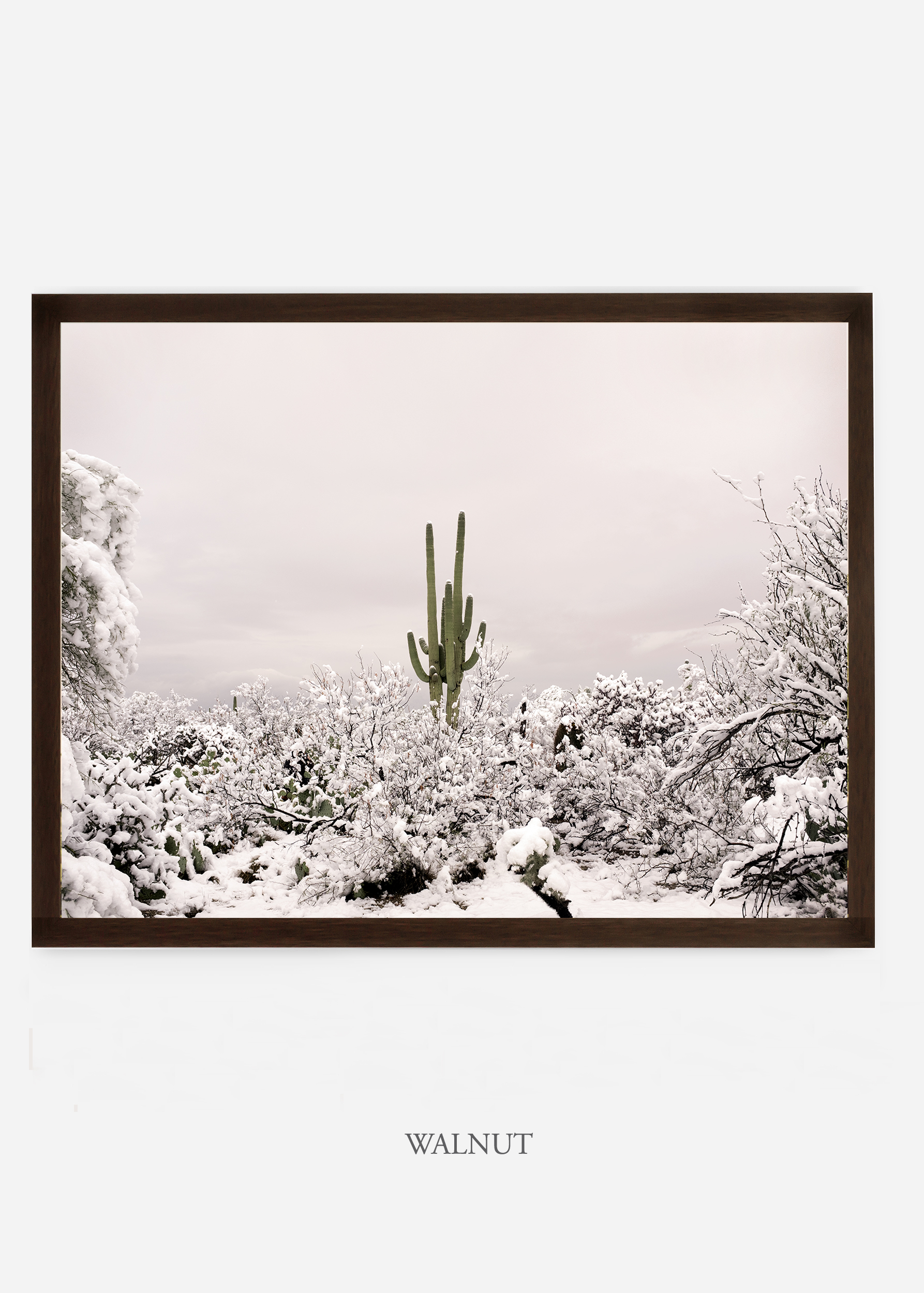 nomat_walnutframe-saguaroNo.1-wildercalifornia-art-wallart-cactusprint-homedecor-prints-arizona-botanical-artwork-interiordesign.jpg