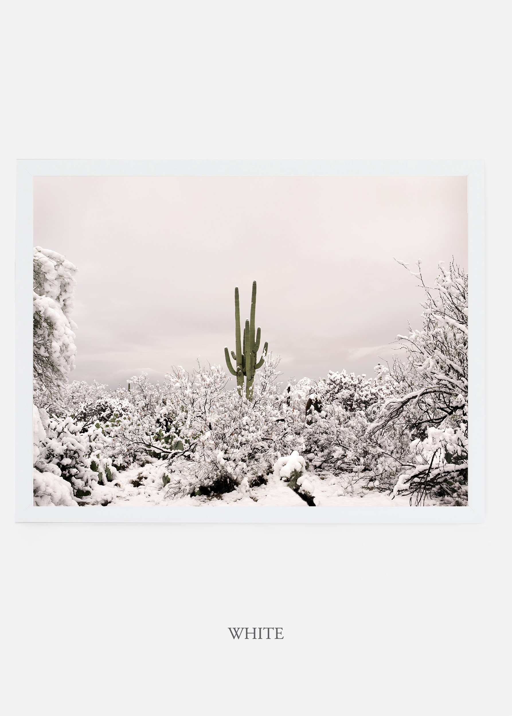 nomat_whiteframe-saguaroNo.1-wildercalifornia-art-wallart-cactusprint-homedecor-prints-arizona-botanical-artwork-interiordesign.jpg