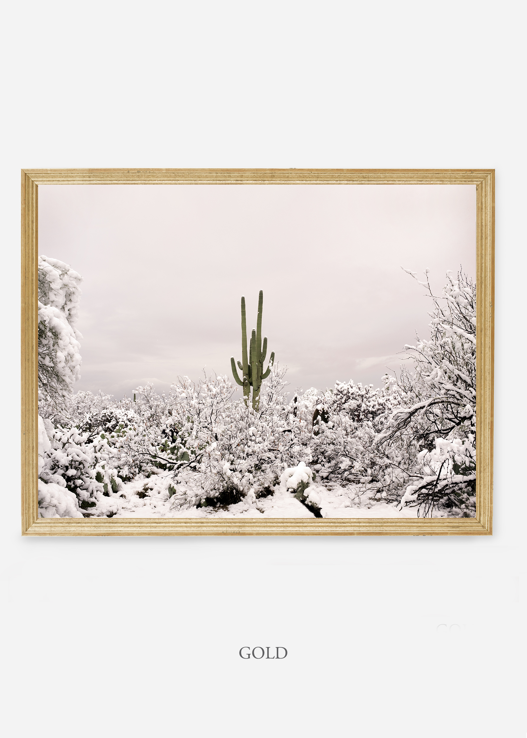 nomat-goldframe-saguaroNo.1-wildercalifornia-art-wallart-cactusprint-homedecor-prints-arizona-botanical-artwork-interiordesign.jpg