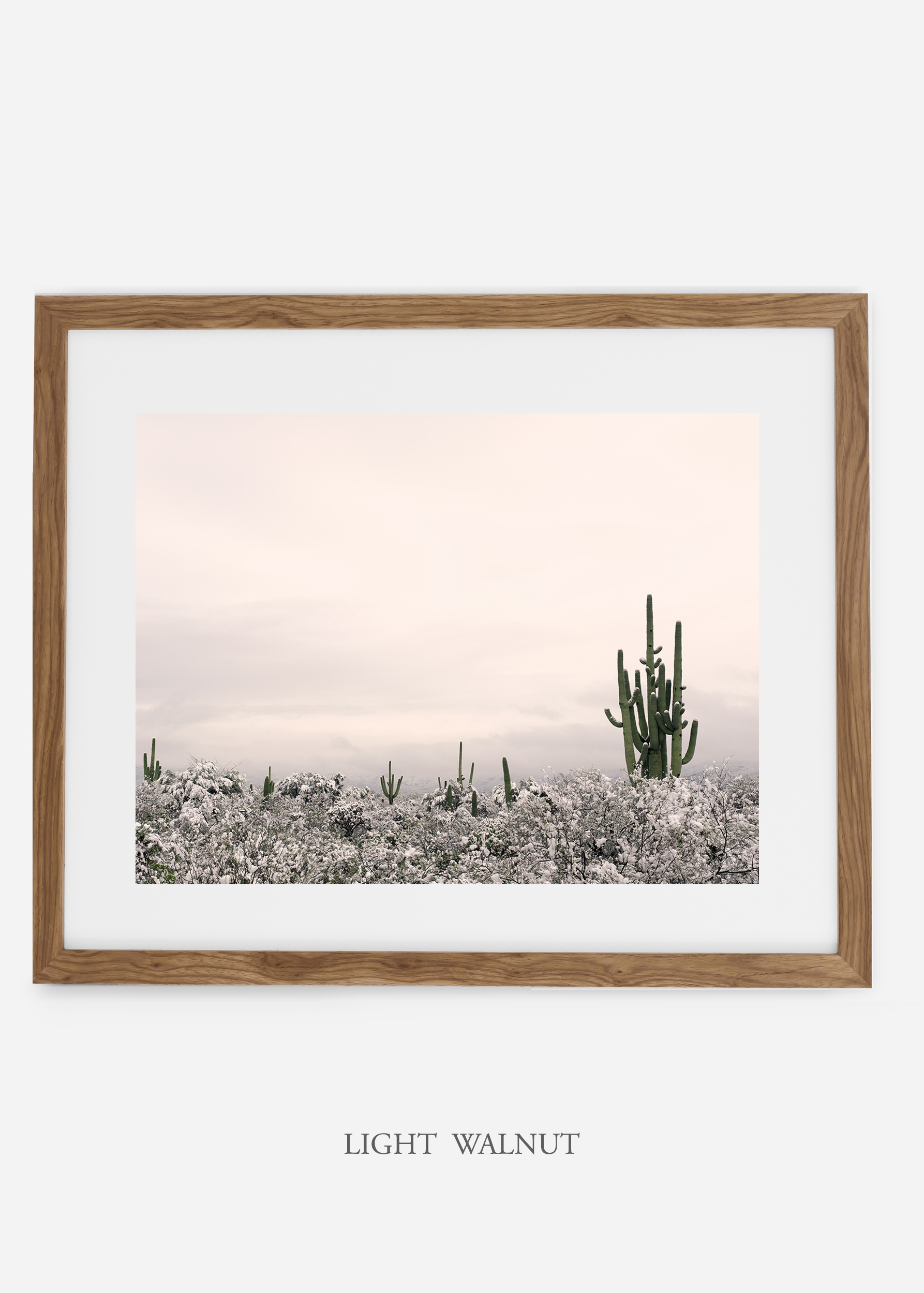 lightwalnutframe-saguaroNo.7-wildercalifornia-art-wallart-cactusprint-homedecor-prints-arizona-botanical-artwork-interiordesign.jpg