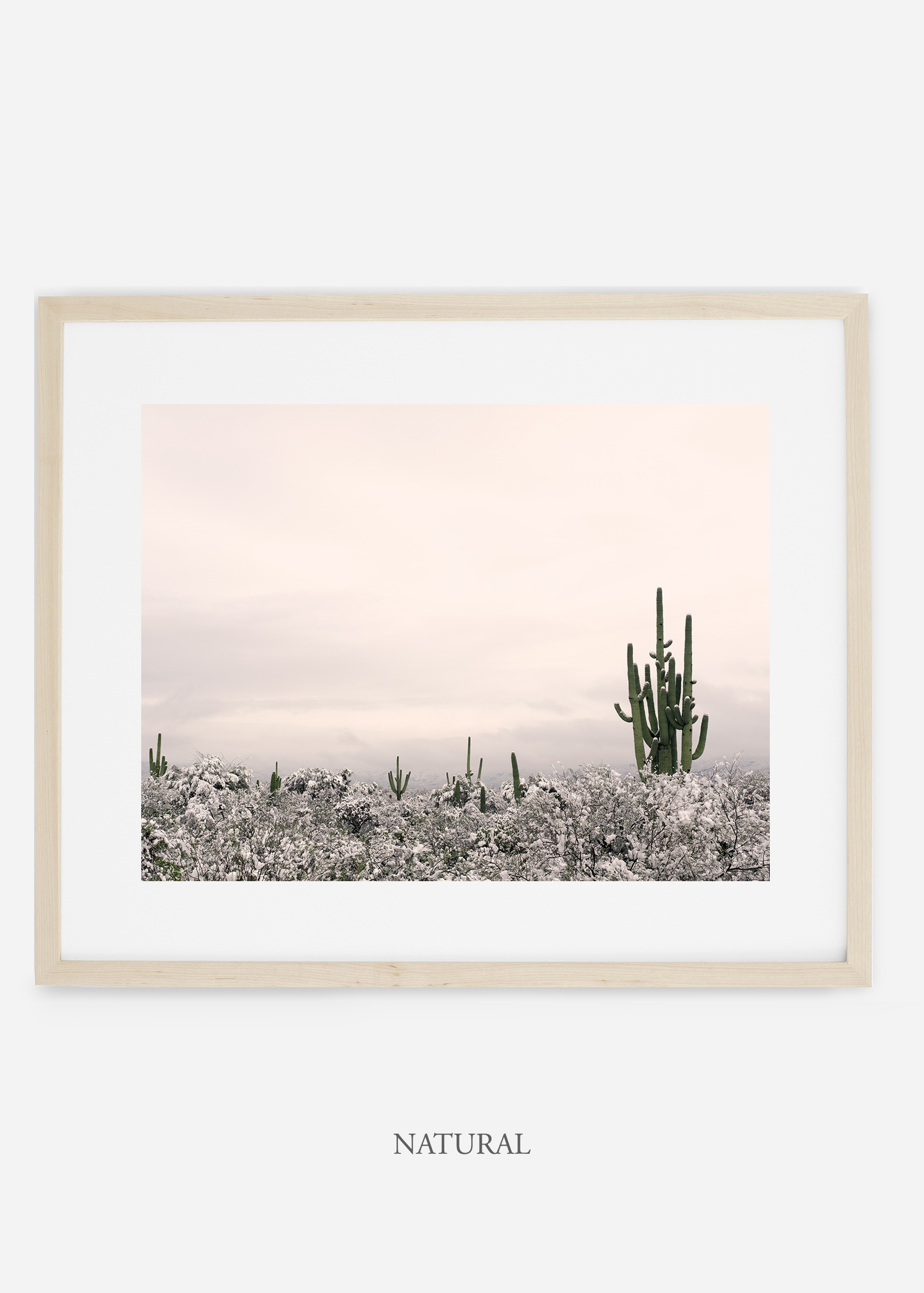 naturalframe-saguaroNo.7-wildercalifornia-art-wallart-cactusprint-homedecor-prints-arizona-botanical-artwork-interiordesign.jpg
