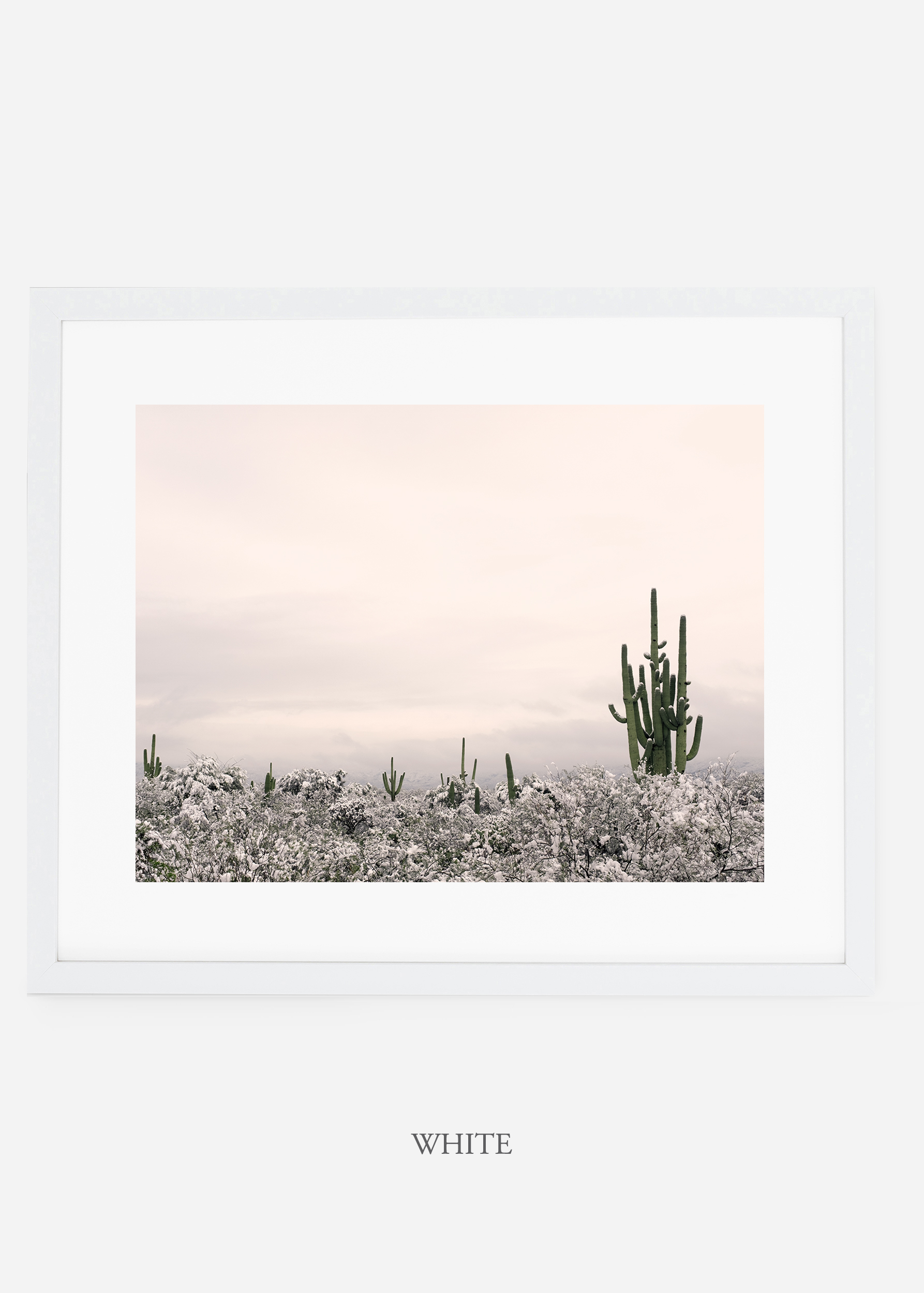 whiteframe-saguaroNo.7-wildercalifornia-art-wallart-cactusprint-homedecor-prints-arizona-botanical-artwork-interiordesign.jpg
