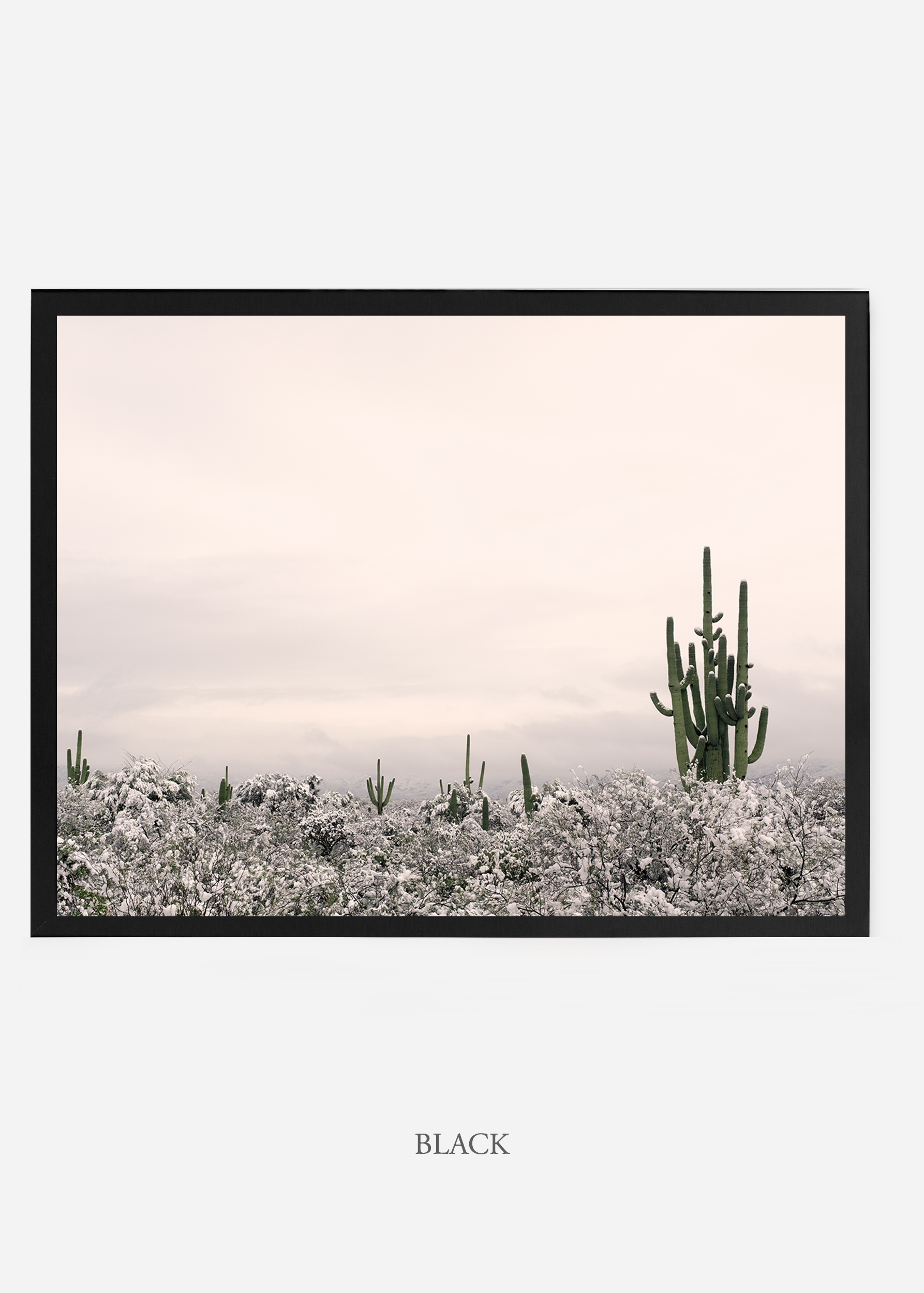 nomat_blackframe-saguaroNo.7-wildercalifornia-art-wallart-cactusprint-homedecor-prints-arizona-botanical-artwork-interiordesign.jpg