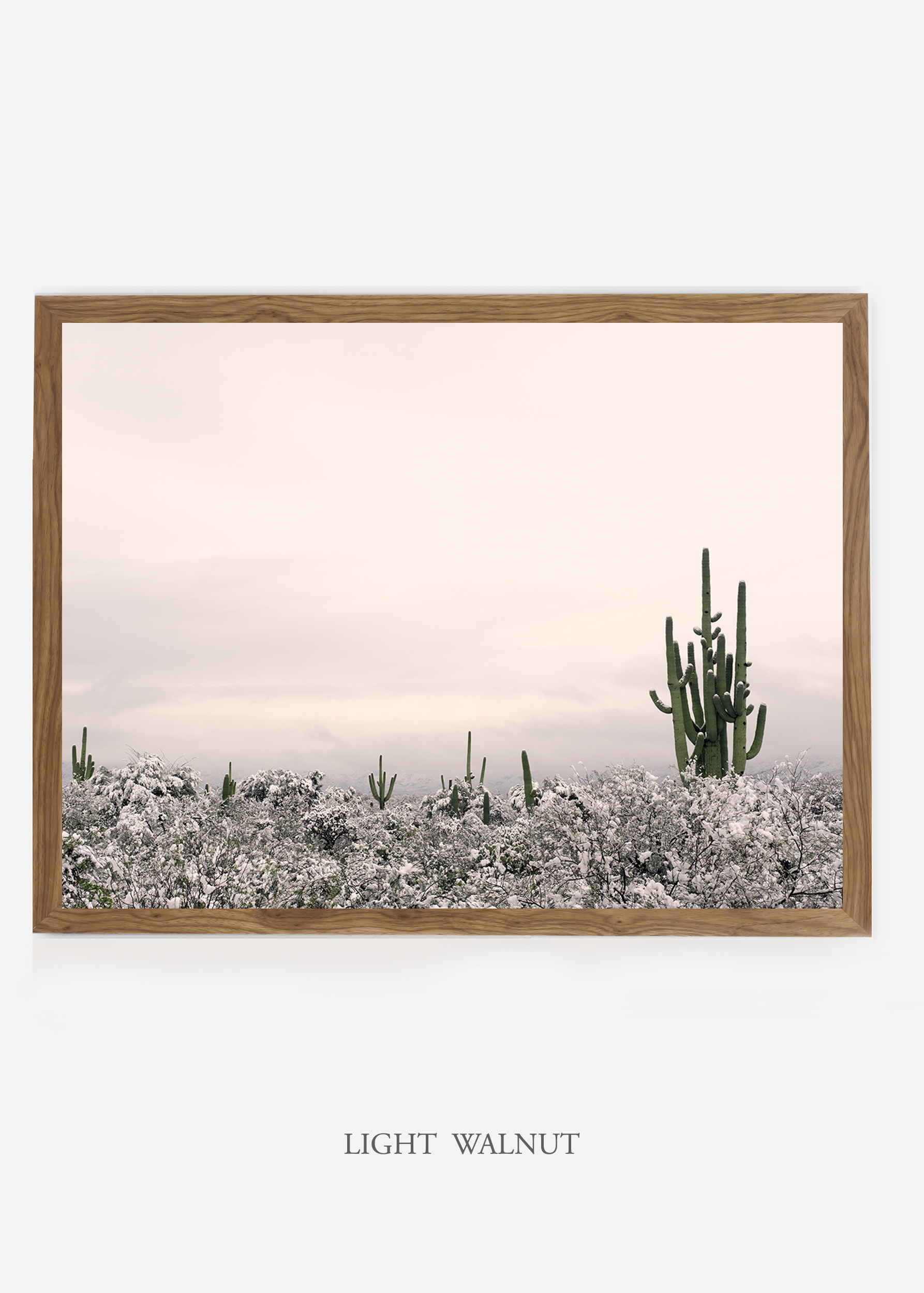 nomat_lightwalnutframe-saguaroNo.7-wildercalifornia-art-wallart-cactusprint-homedecor-prints-arizona-botanical-artwork-interiordesign.jpg