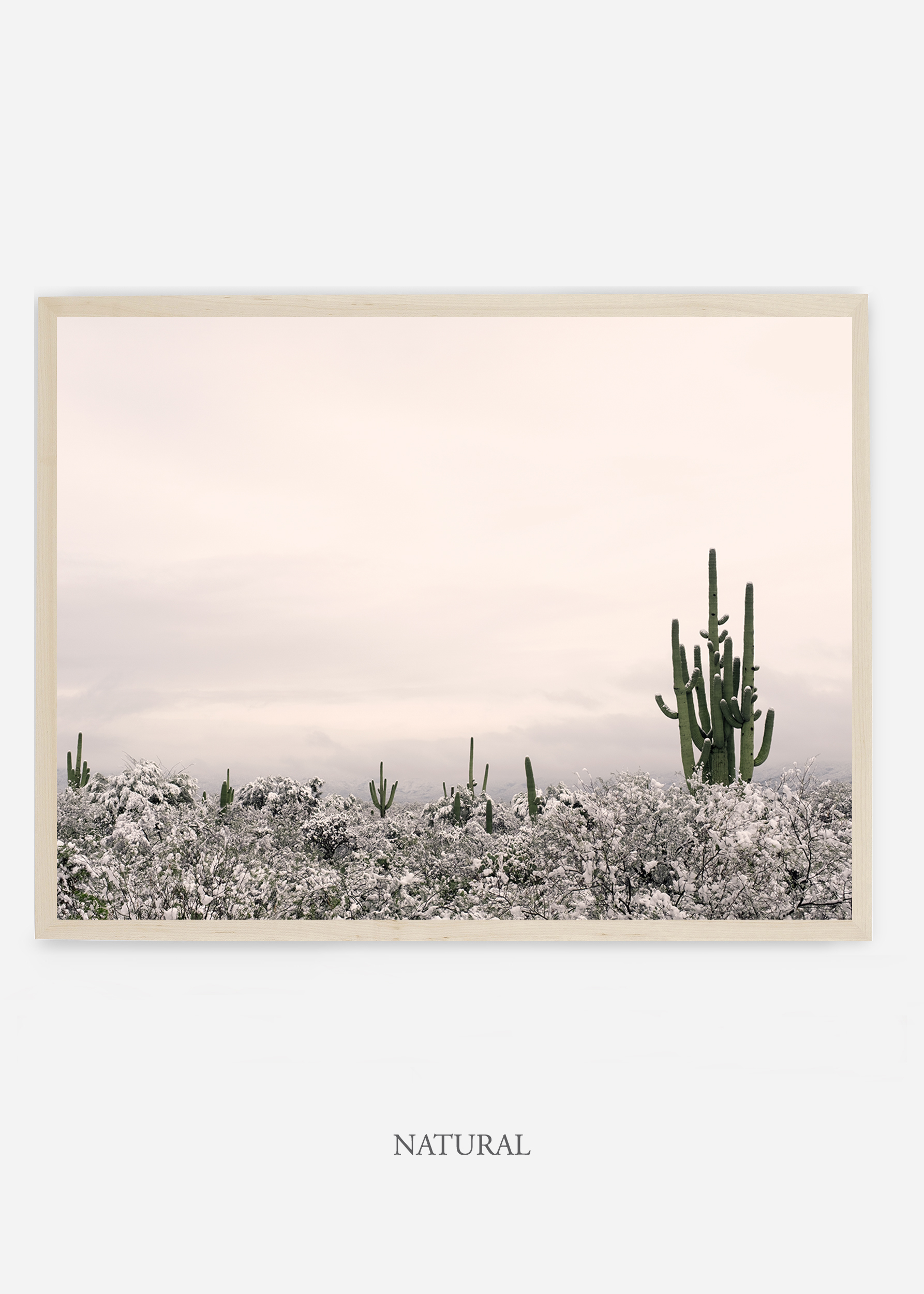 nomat_naturalframe-saguaroNo.7-wildercalifornia-art-wallart-cactusprint-homedecor-prints-arizona-botanical-artwork-interiordesign.jpg