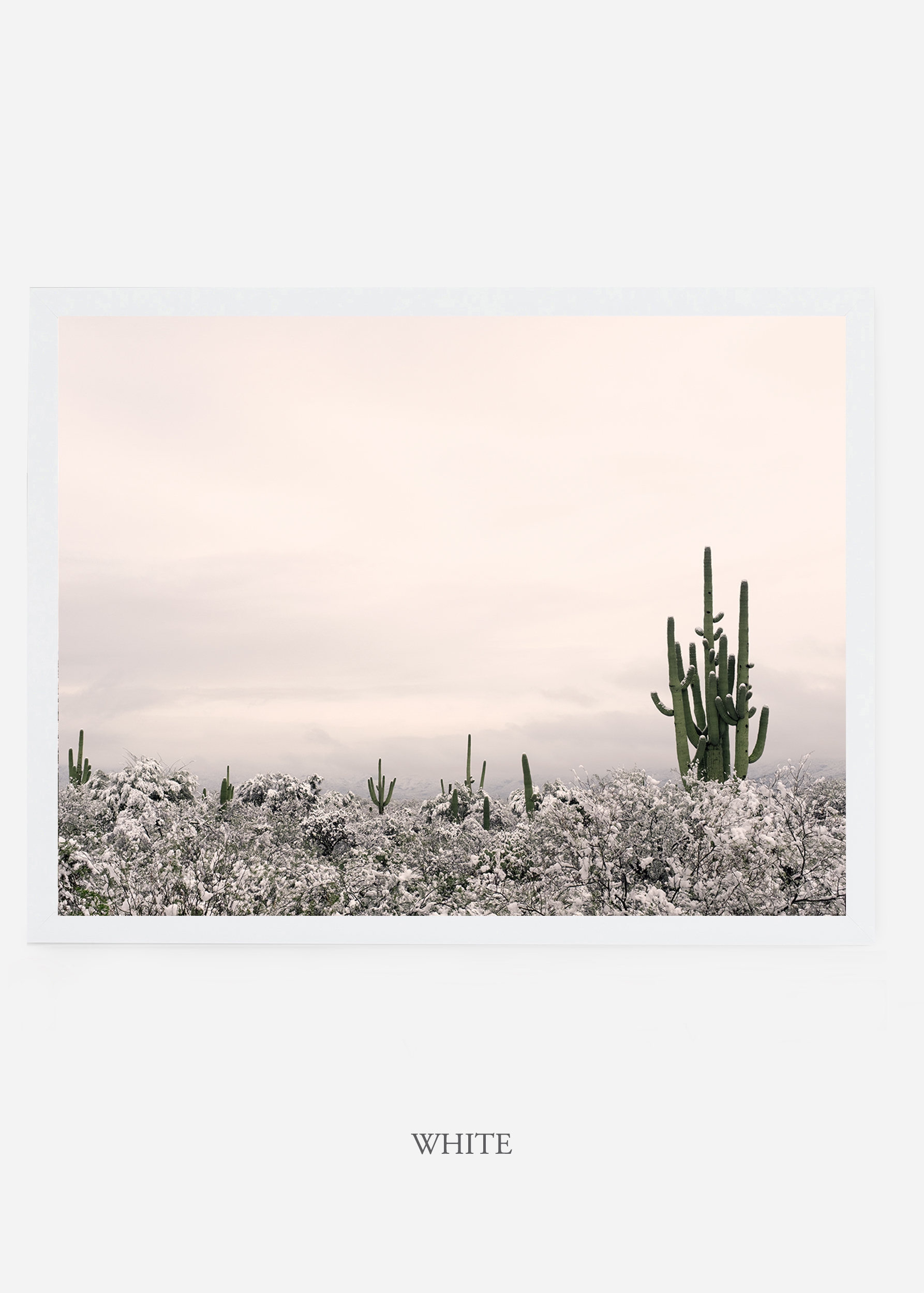 nomat_whiteframe-saguaroNo.7-wildercalifornia-art-wallart-cactusprint-homedecor-prints-arizona-botanical-artwork-interiordesign.jpg