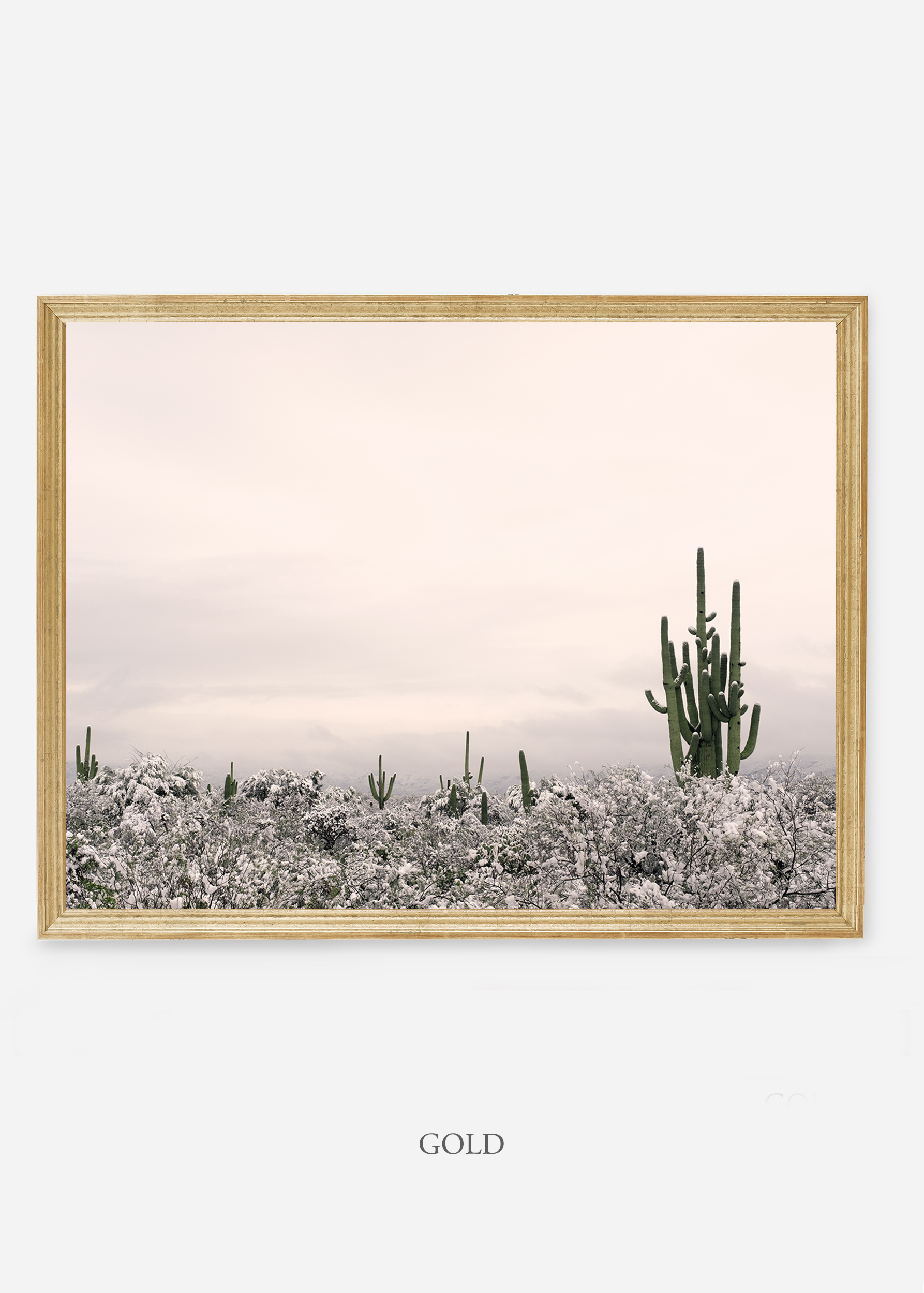 nomat-goldframe-saguaroNo.7-wildercalifornia-art-wallart-cactusprint-homedecor-prints-arizona-botanical-artwork-interiordesign.jpg