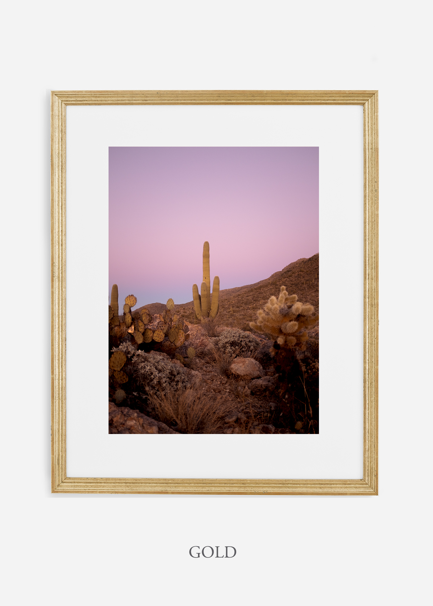 goldframe-saguaroNo.10-wildercalifornia-art-wallart-cactusprint-homedecor-prints-arizona-botanical-artwork-interiordesign.jpg