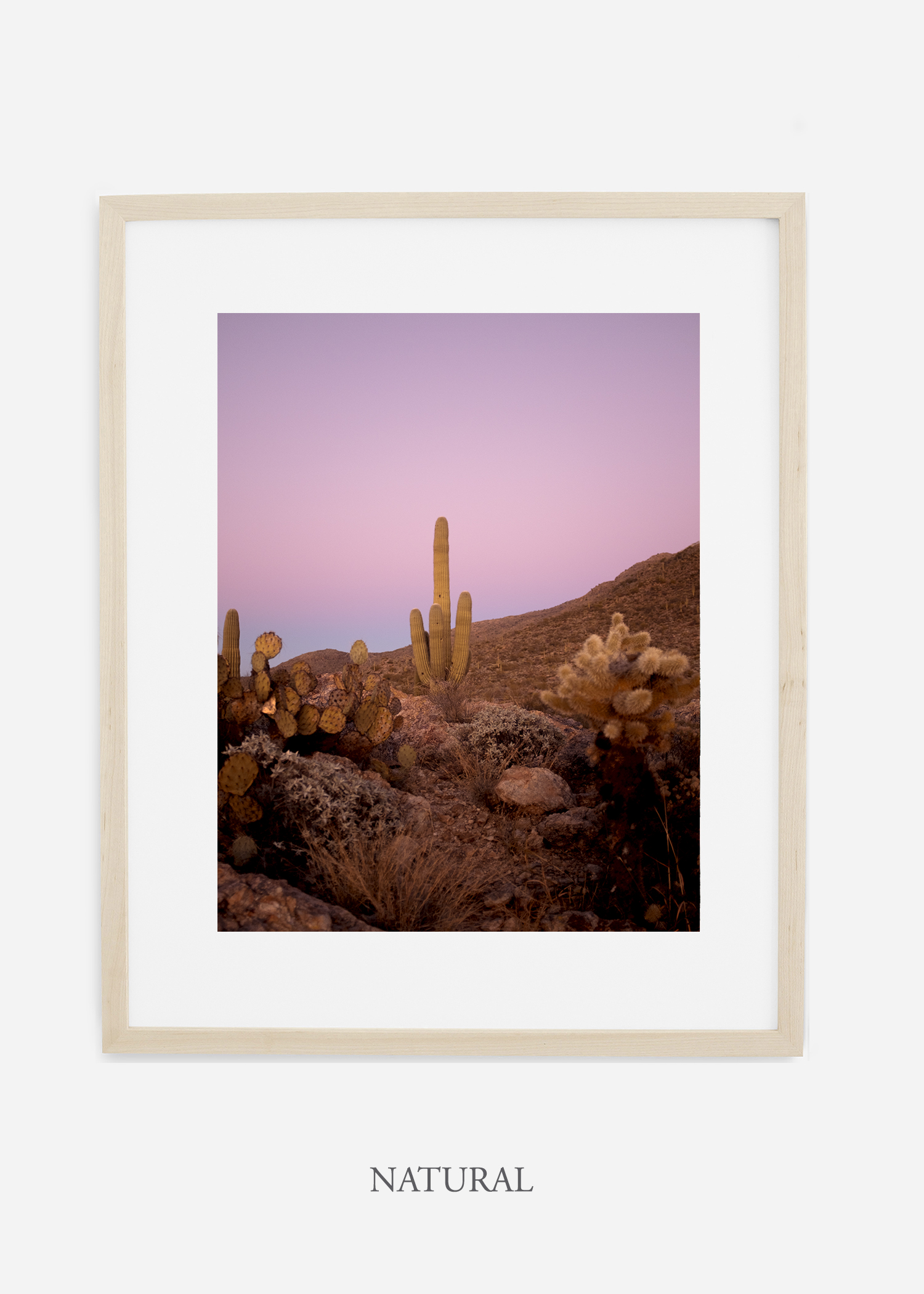 naturalframe-saguaroNo.10-wildercalifornia-art-wallart-cactusprint-homedecor-prints-arizona-botanical-artwork-interiordesign.jpg