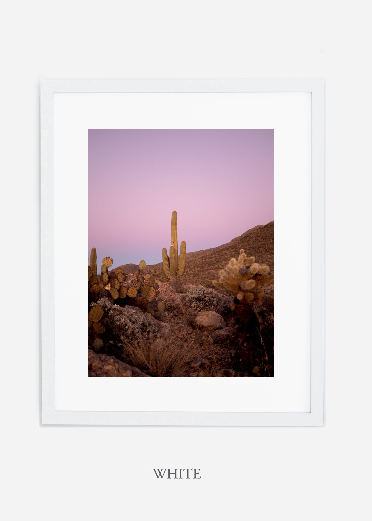 whiteframe-saguaroNo.10-wildercalifornia-art-wallart-cactusprint-homedecor-prints-arizona-botanical-artwork-interiordesign.jpg