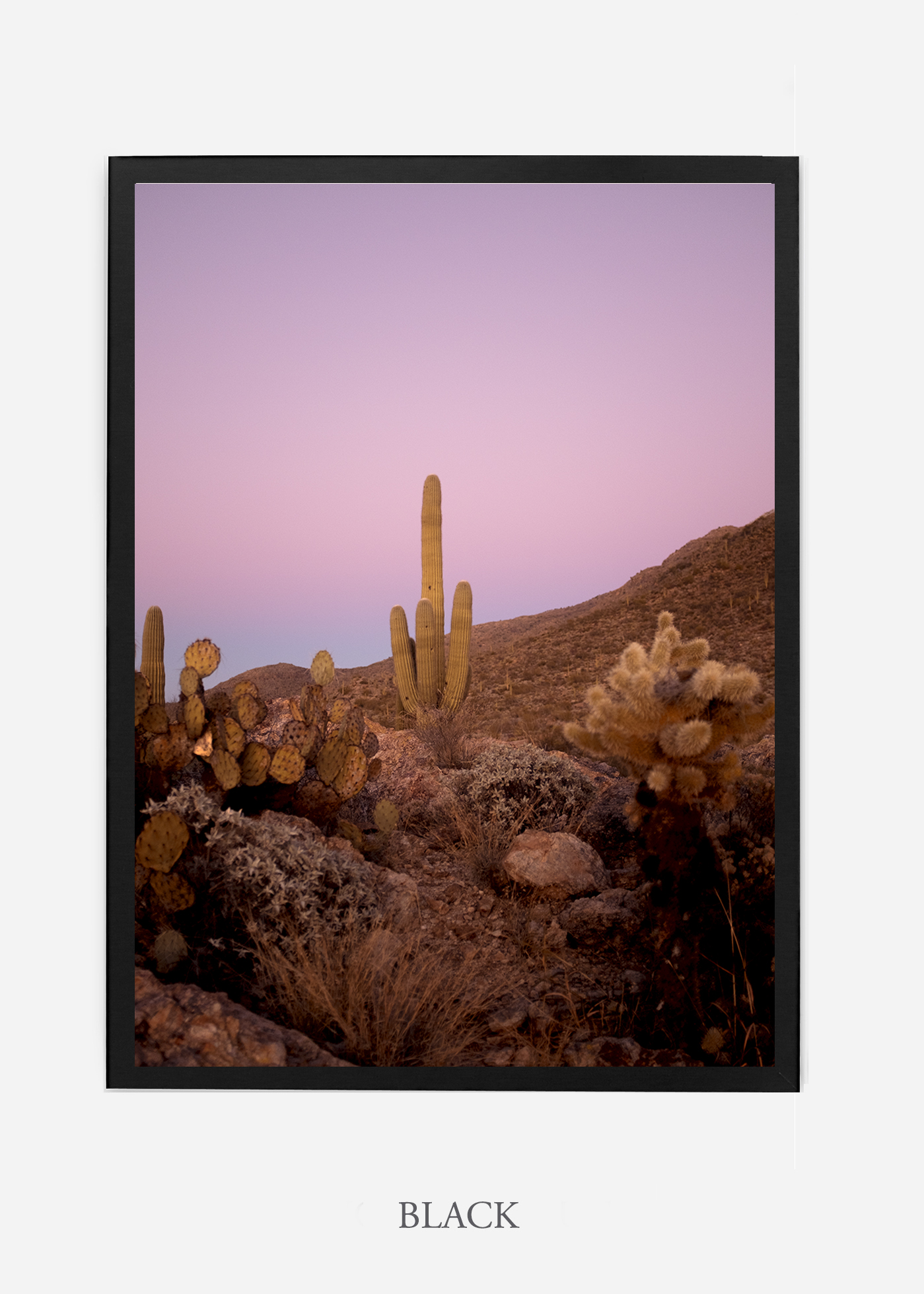 nomat-blackframe-saguaroNo.10-wildercalifornia-art-wallart-cactusprint-homedecor-prints-arizona-botanical-artwork-interiordesign.jpg